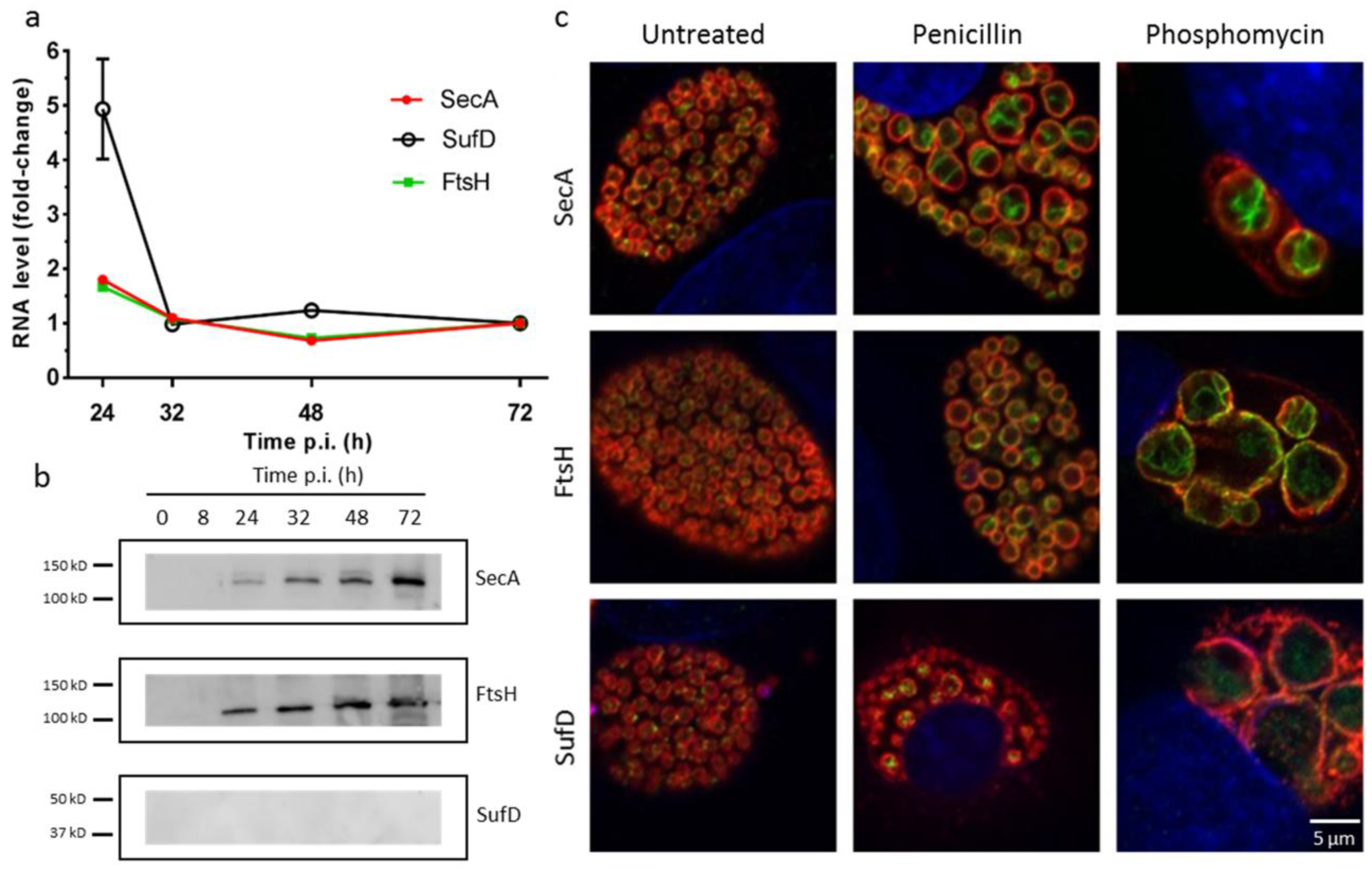 Microorganisms 07 00617 g002 Microorganisms 07 00617 g002