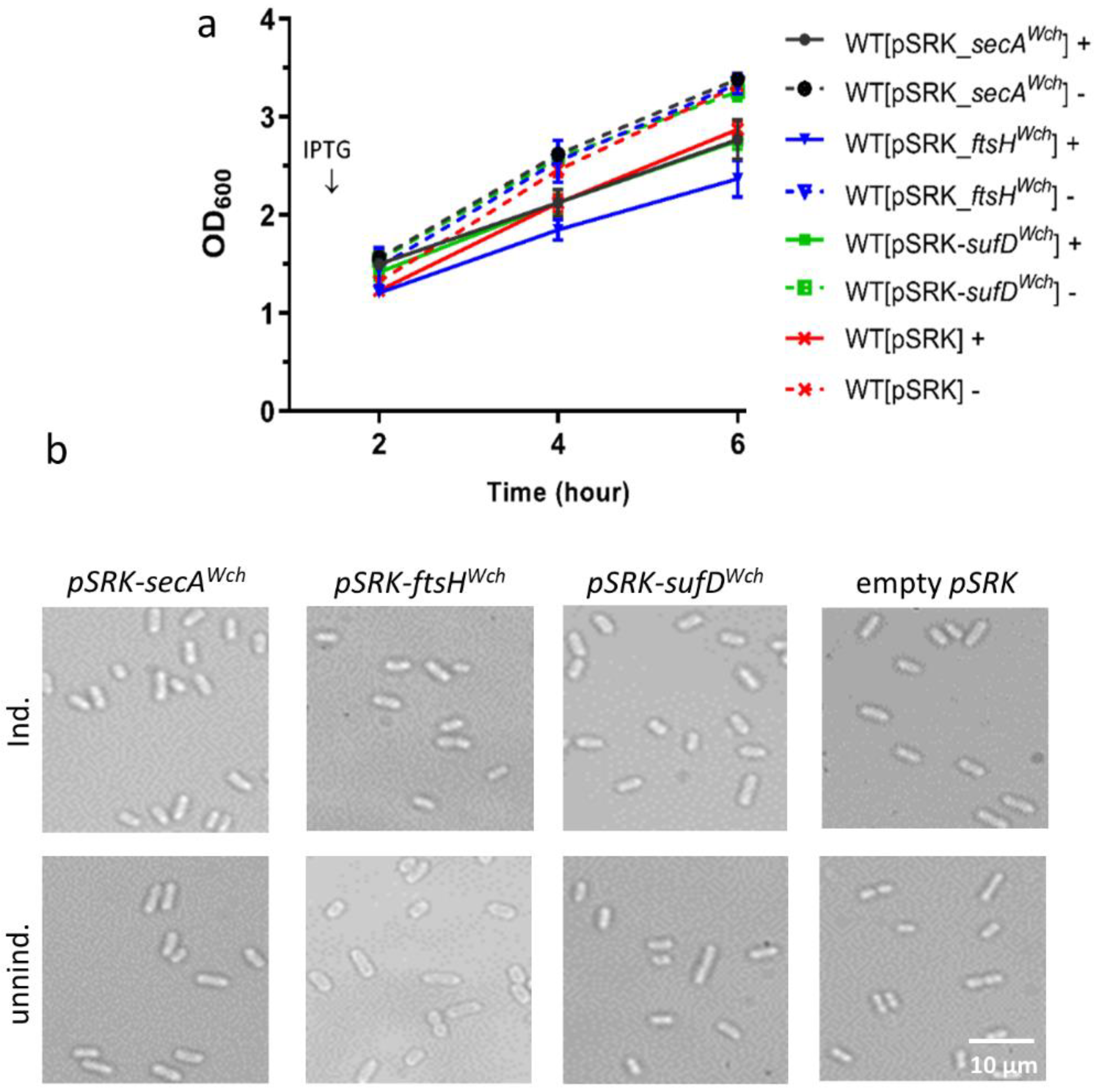 Microorganisms 07 00617 g003 Microorganisms 07 00617 g003