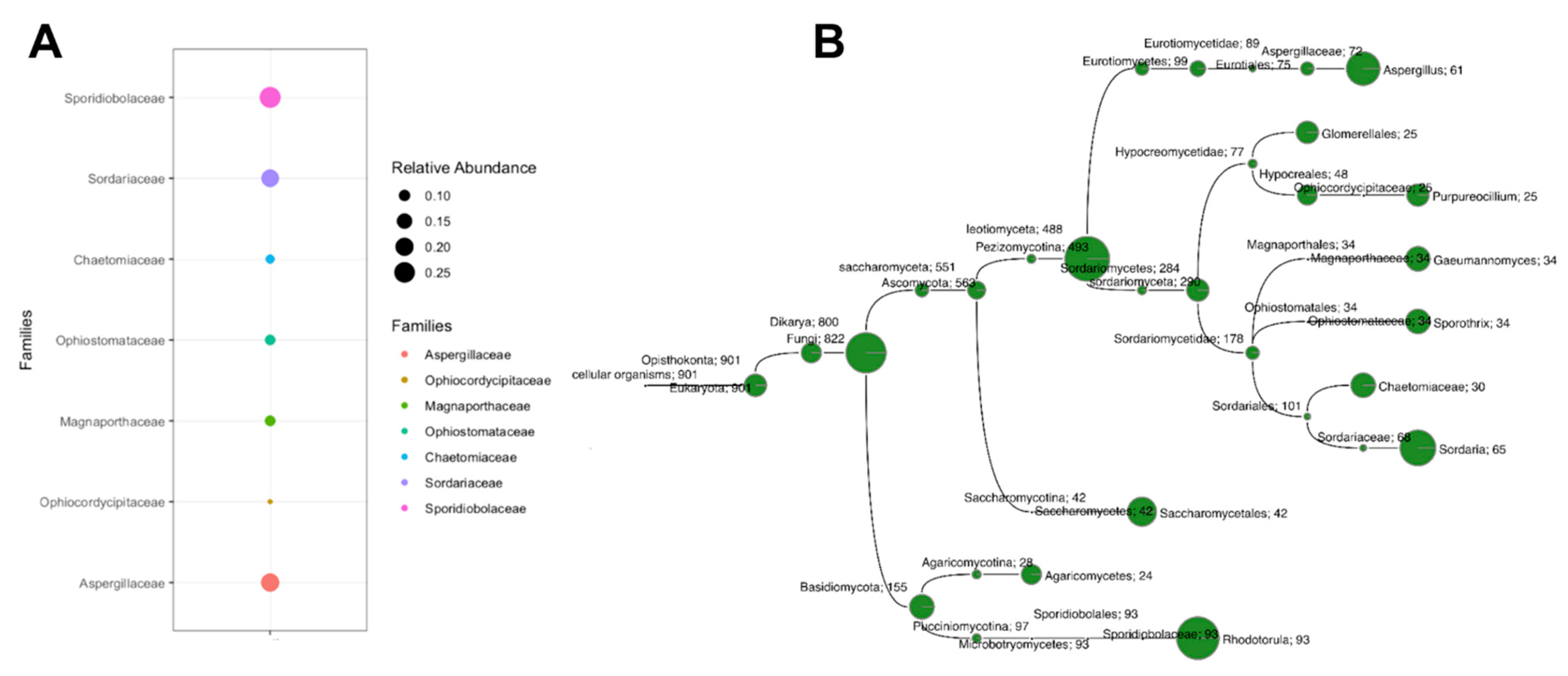 Microorganisms 07 00619 g001 Microorganisms 07 00619 g001