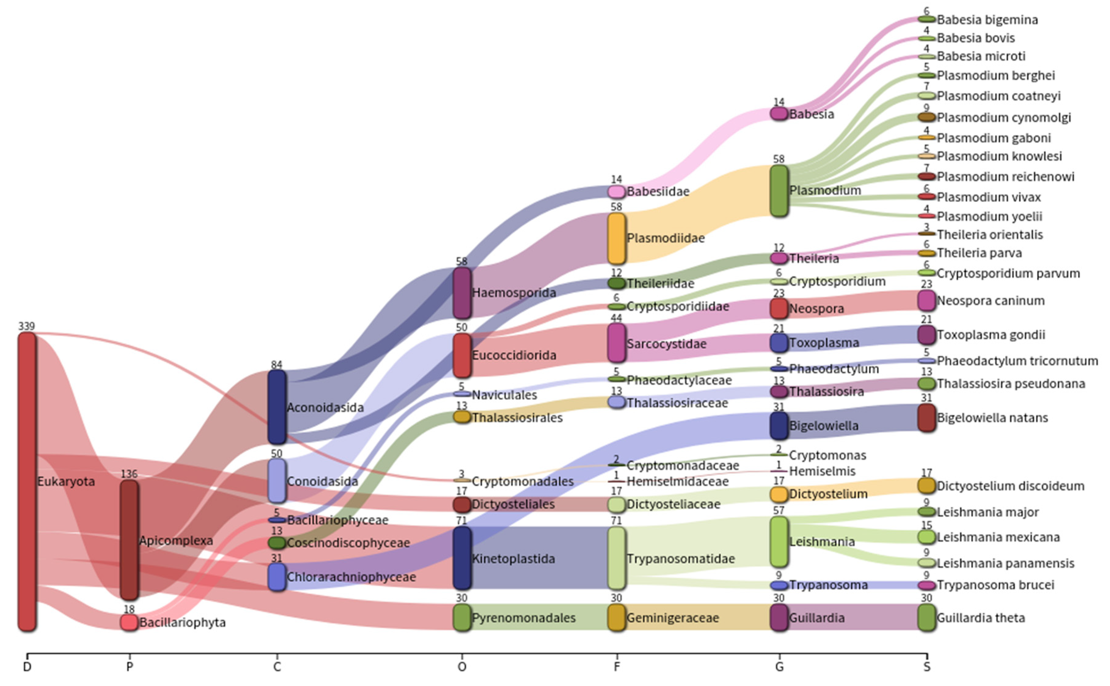 Microorganisms 07 00619 g003 Microorganisms 07 00619 g003