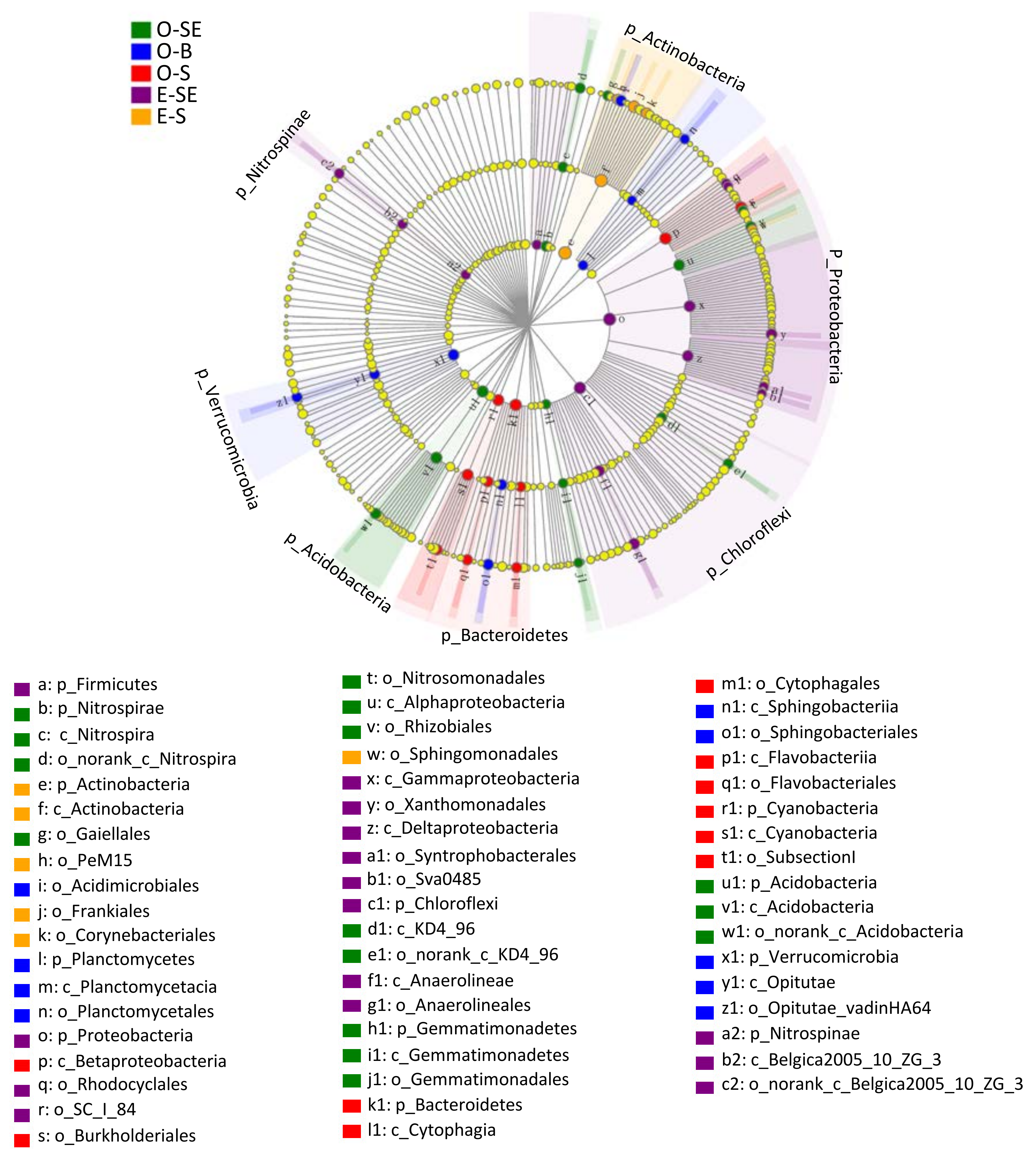 Microorganisms 07 00621 g007 Microorganisms 07 00621 g007