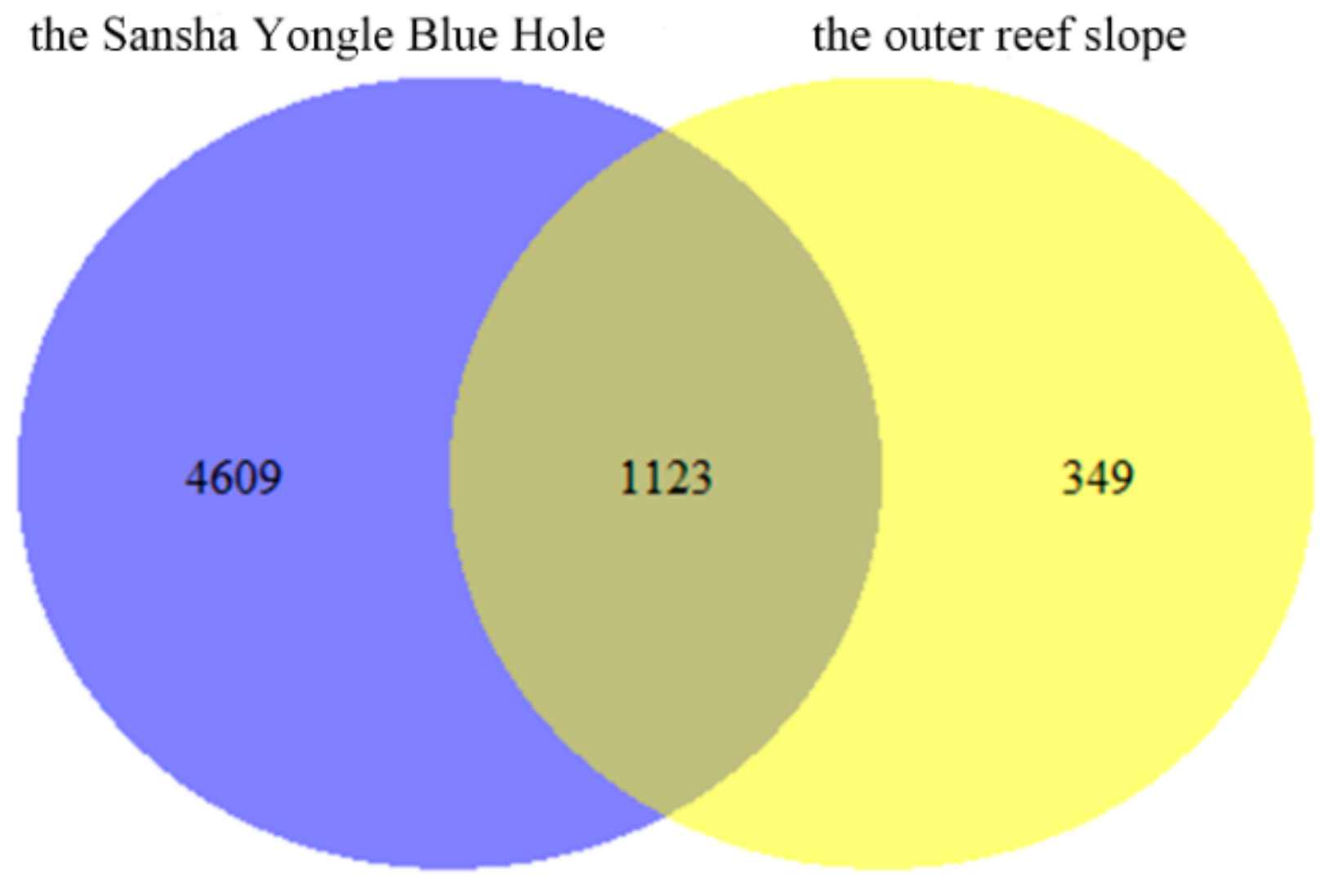 Microorganisms 07 00624 g008 Microorganisms 07 00624 g008