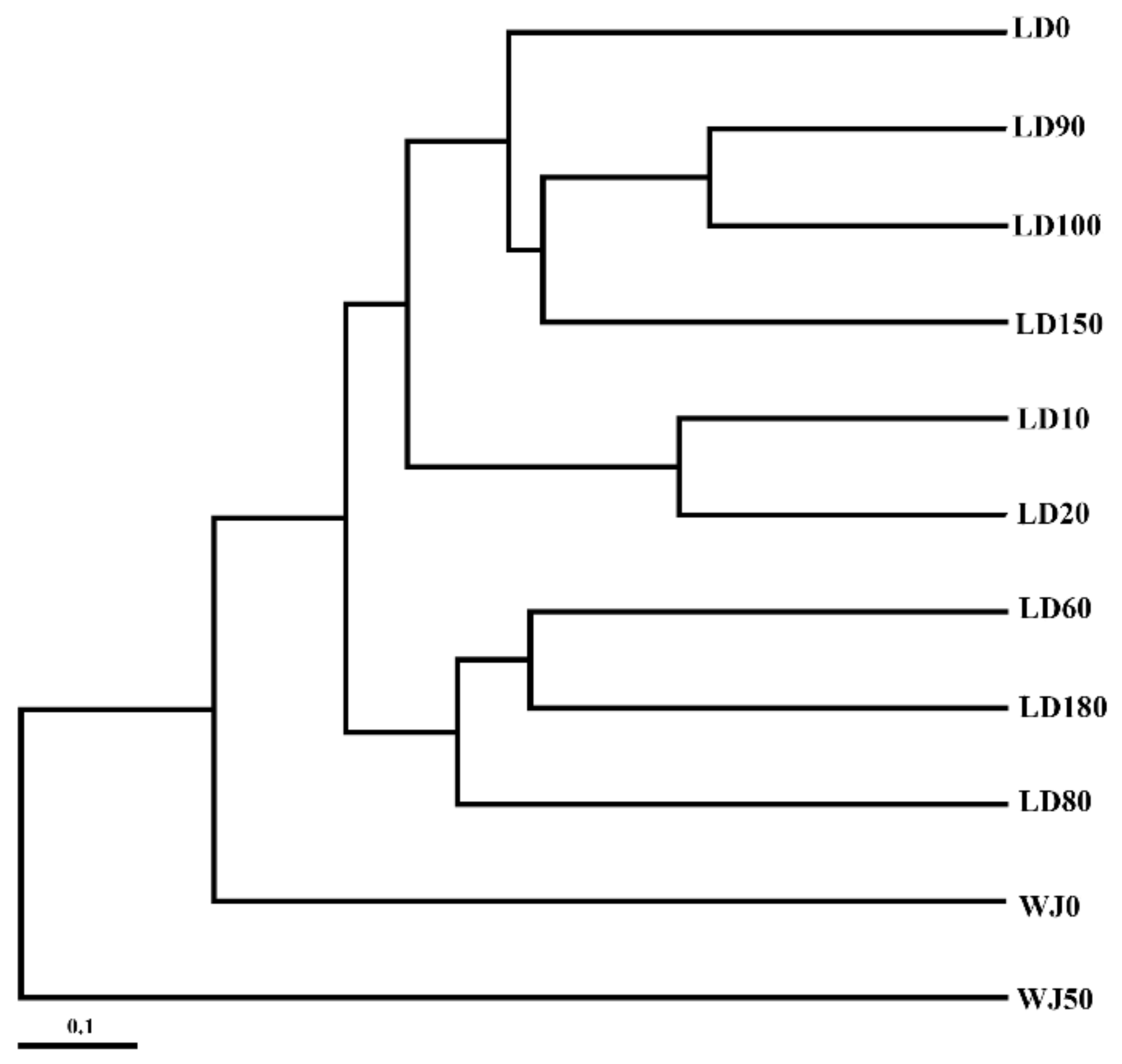 Microorganisms 07 00624 g009 Microorganisms 07 00624 g009