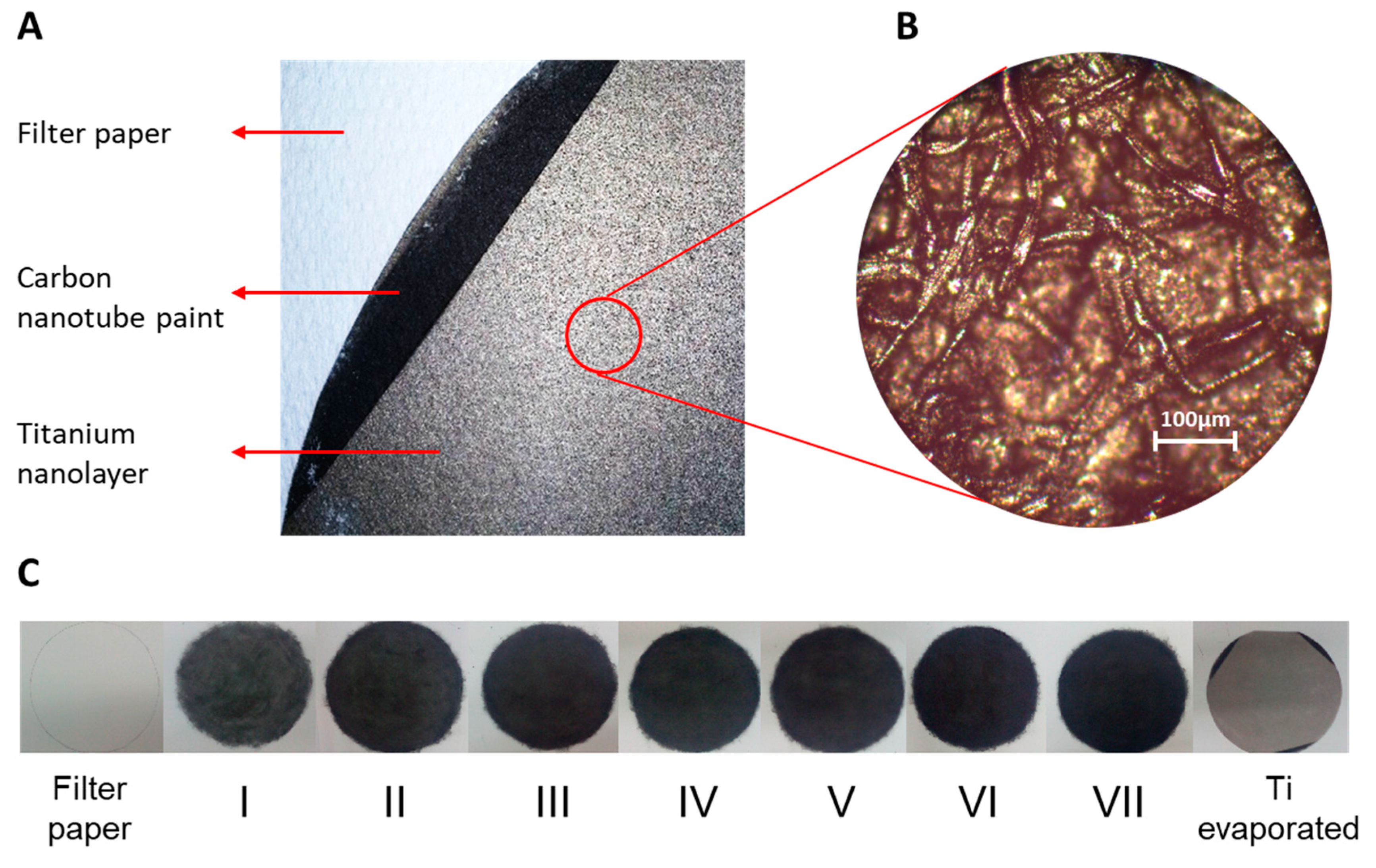 Microorganisms 07 00630 g003 Microorganisms 07 00630 g003