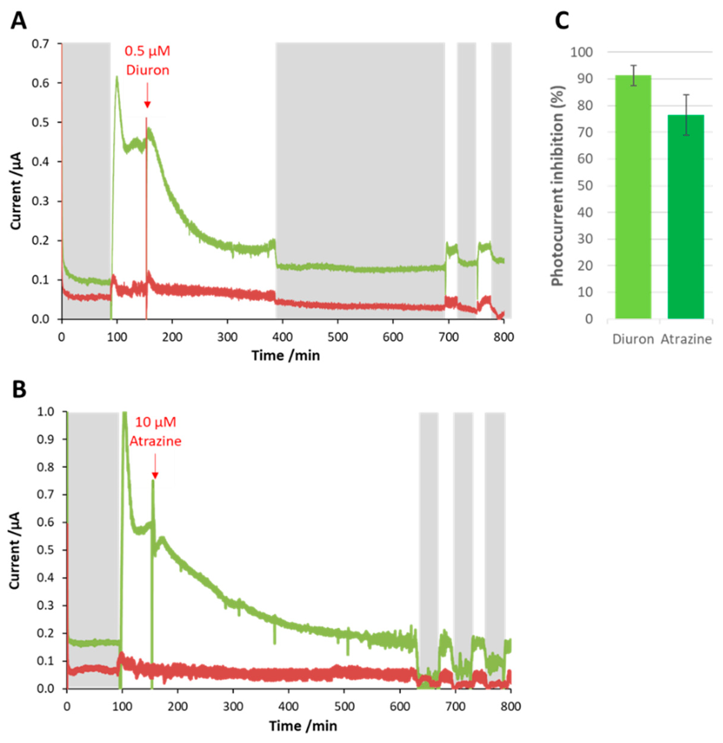 Microorganisms 07 00630 g005 Microorganisms 07 00630 g005