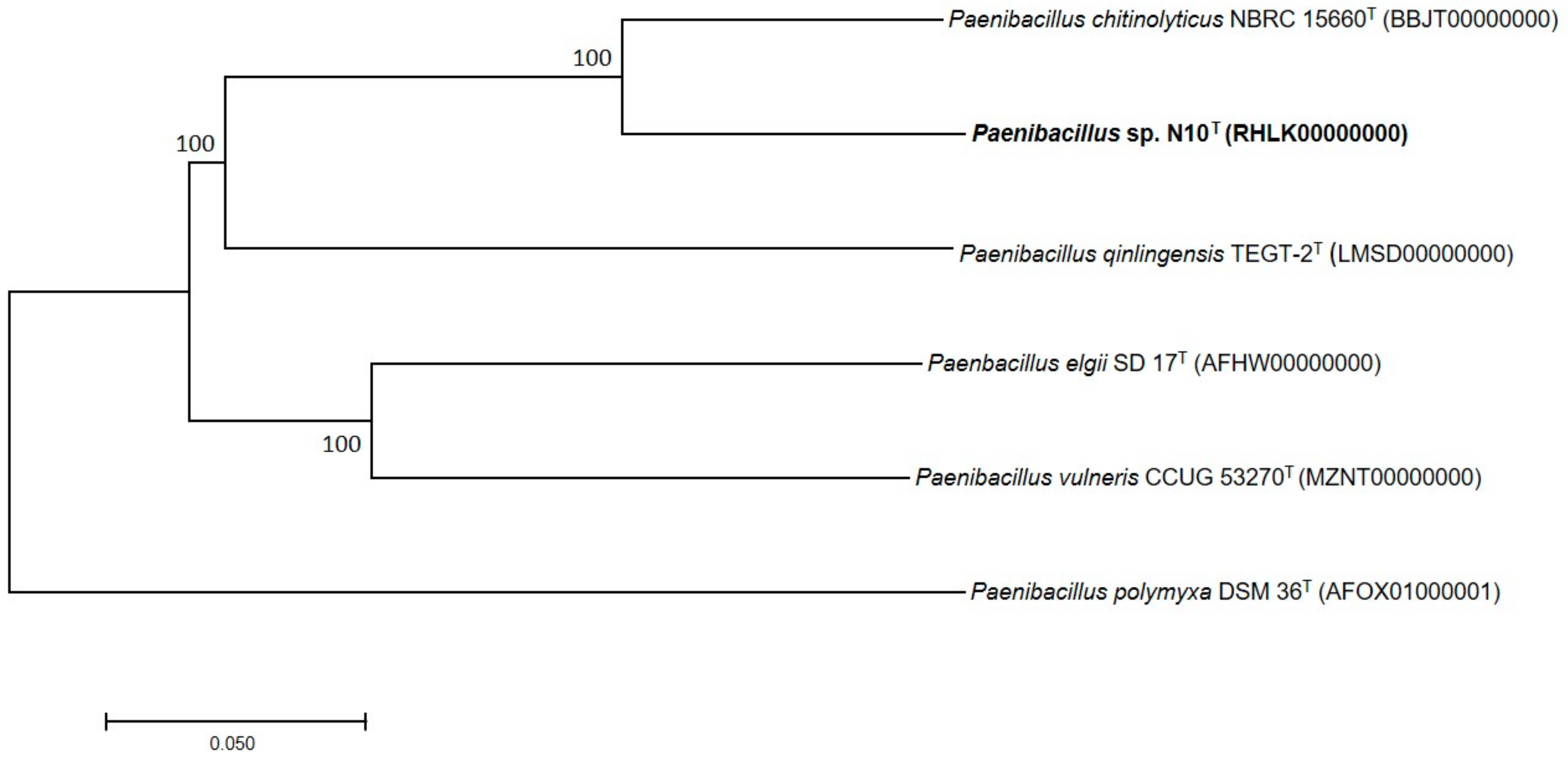 Microorganisms 07 00637 g004
