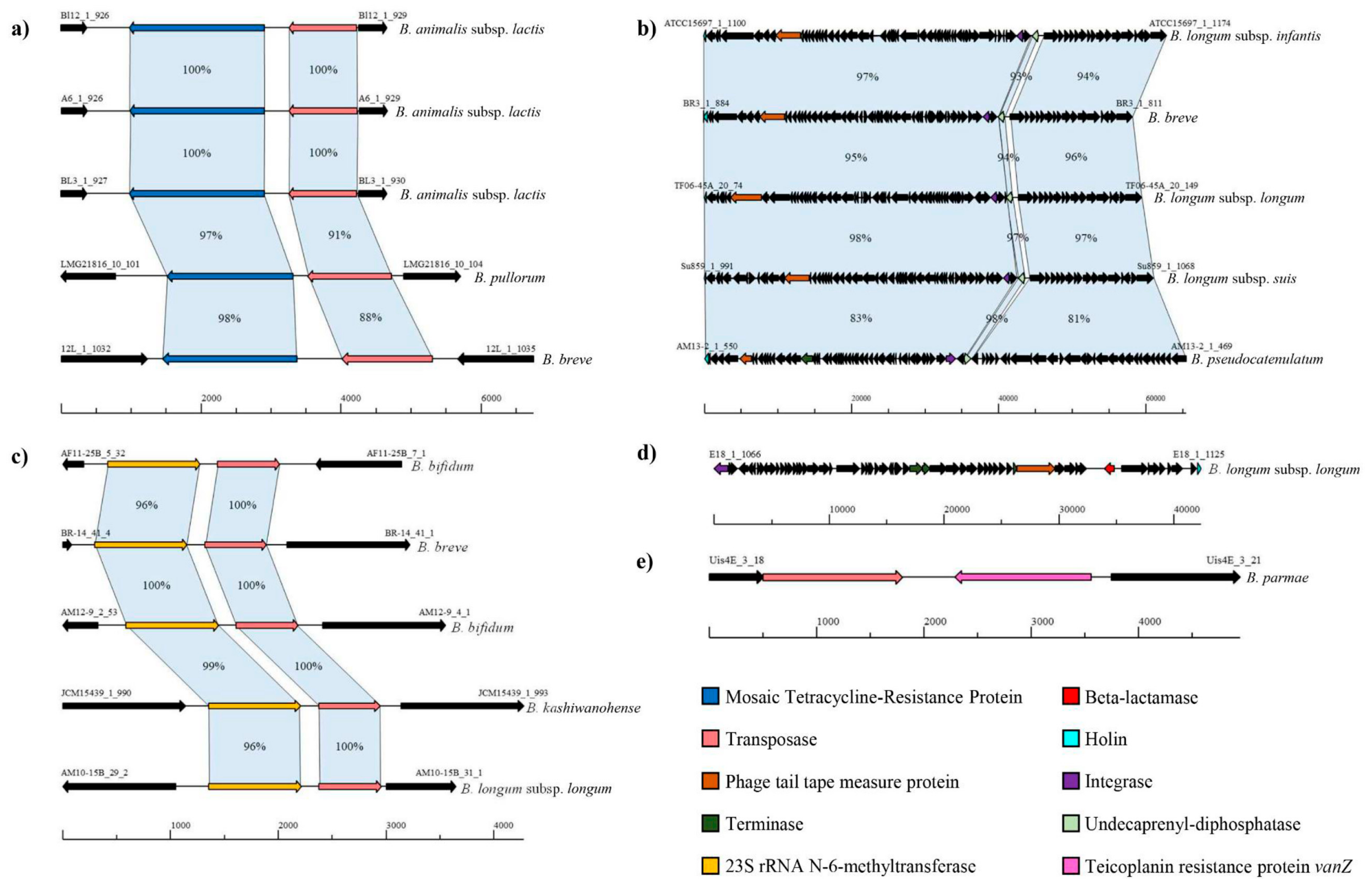 Microorganisms 07 00638 g003 Microorganisms 07 00638 g003