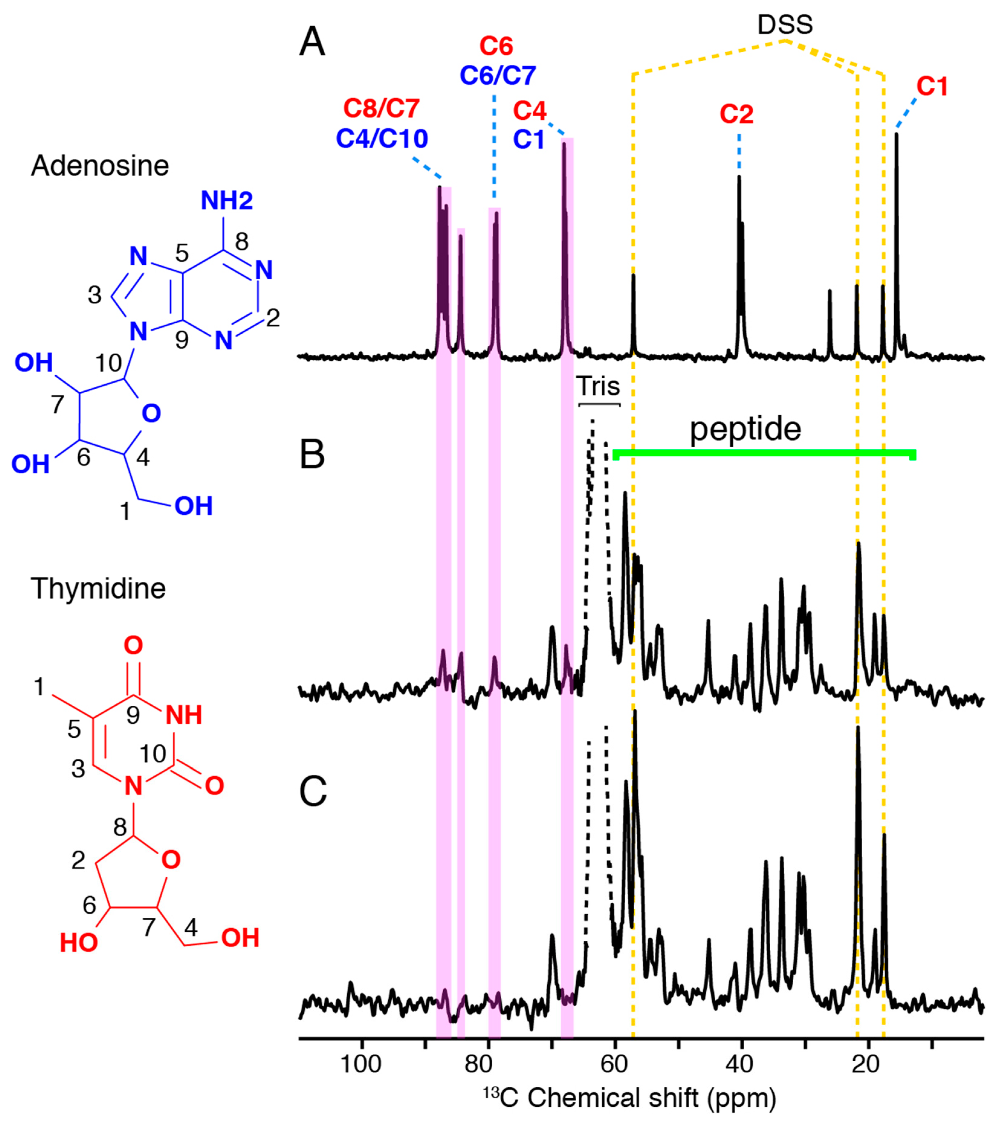 Microorganisms 07 00639 g004 Microorganisms 07 00639 g004