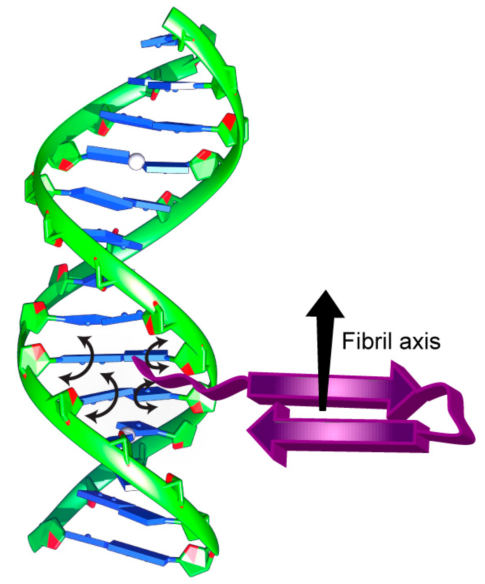 Microorganisms 07 00639 g005 Microorganisms 07 00639 g005