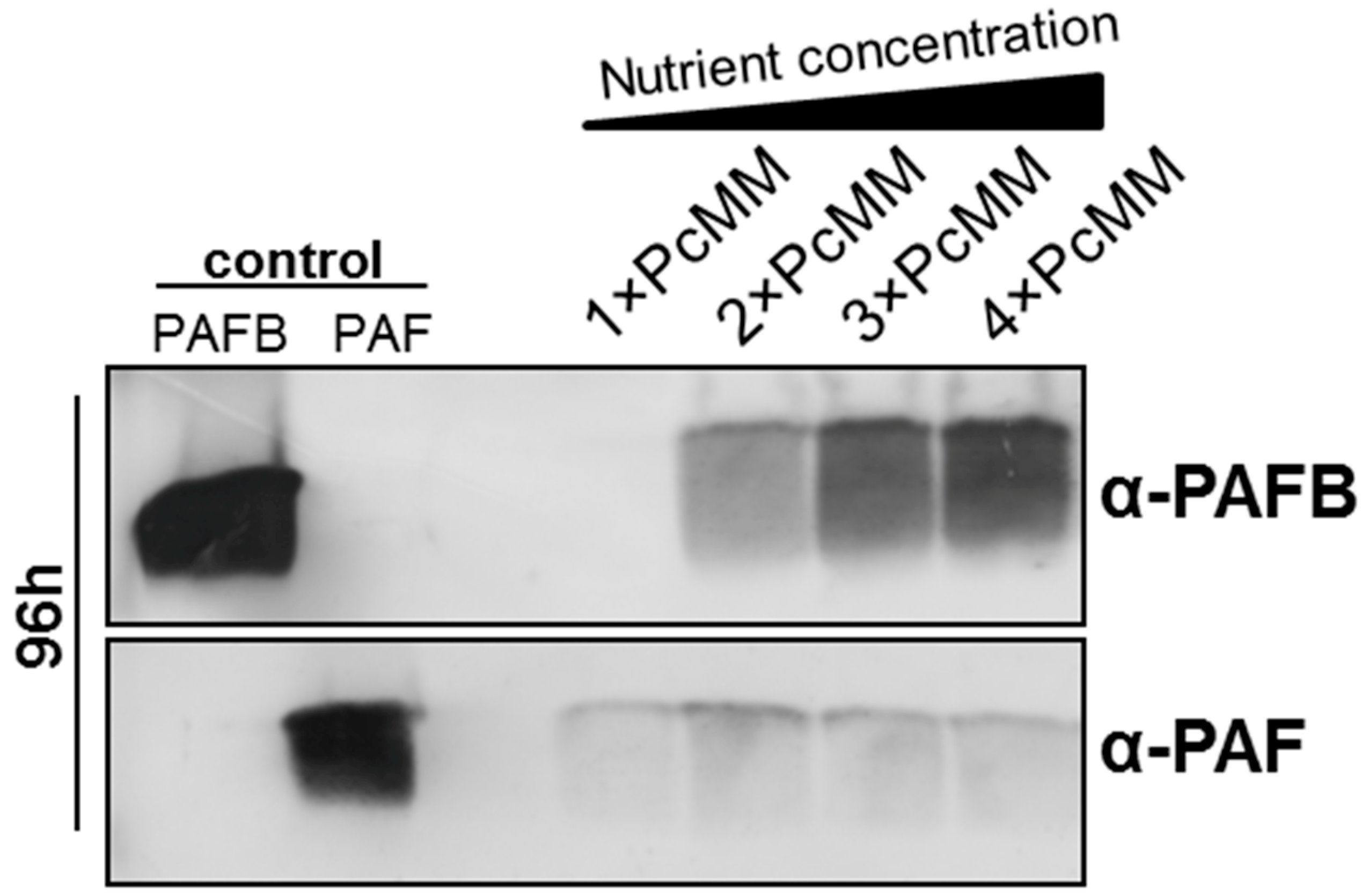 Microorganisms 07 00654 g001