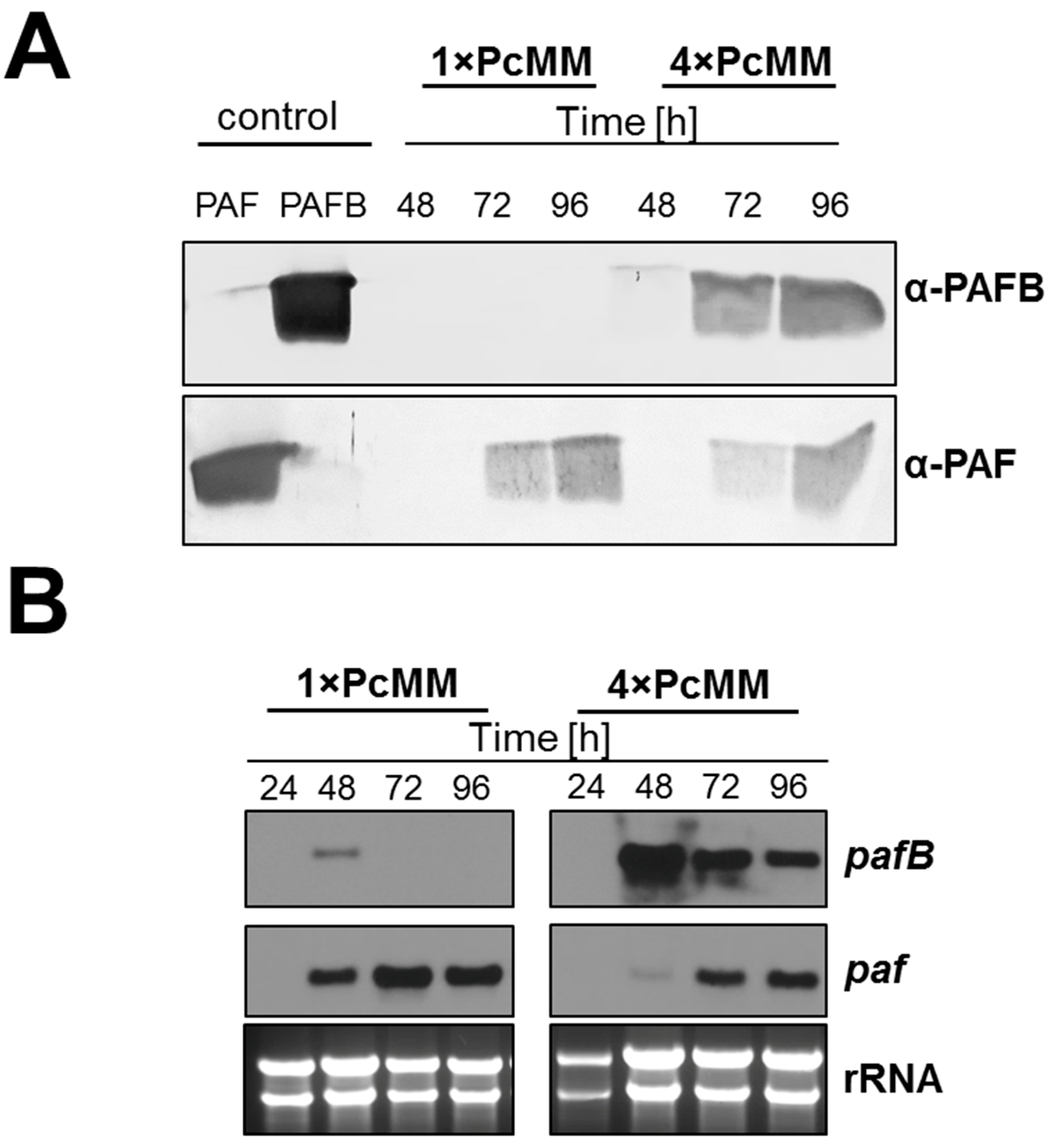 Microorganisms 07 00654 g002