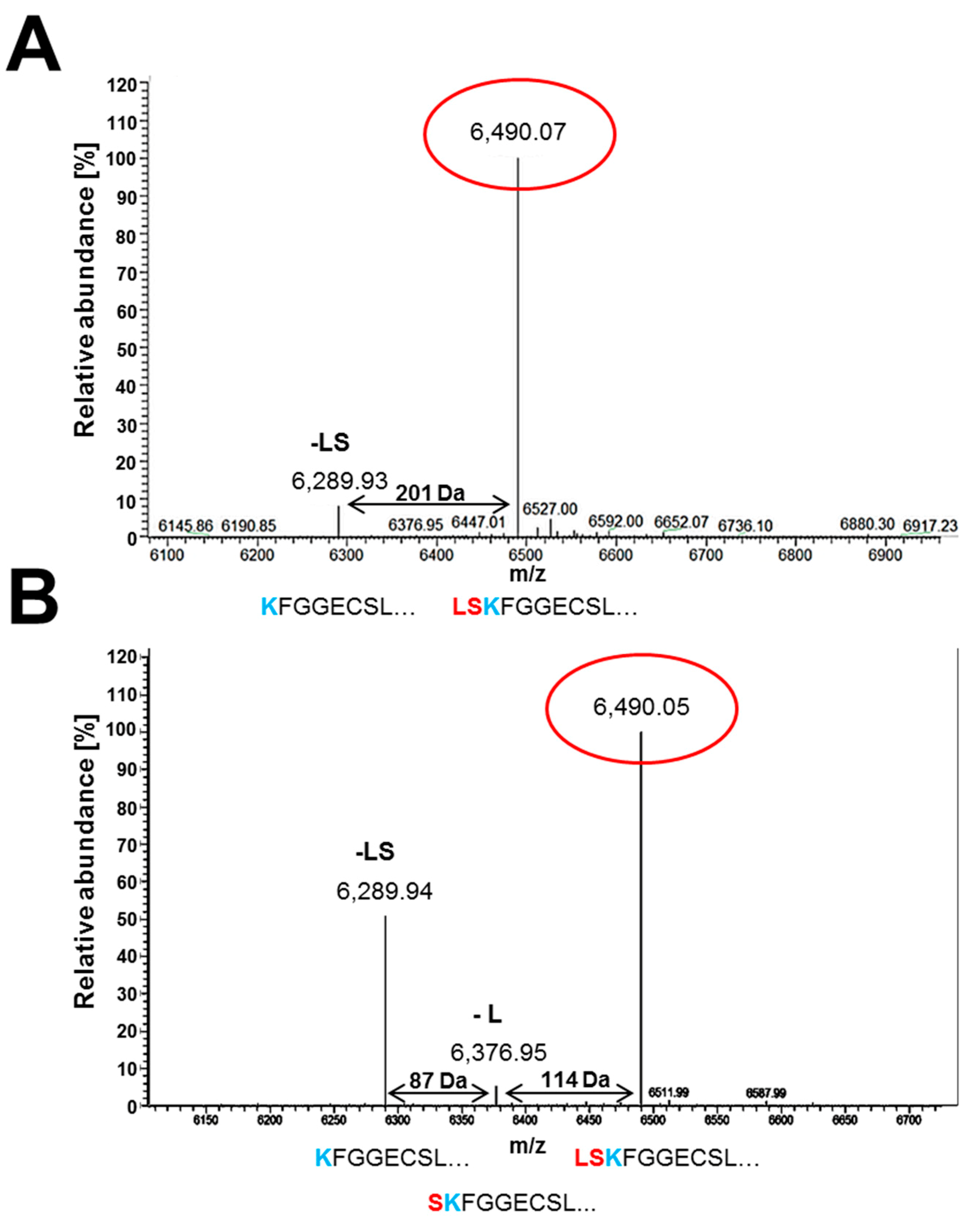 Microorganisms 07 00654 g008