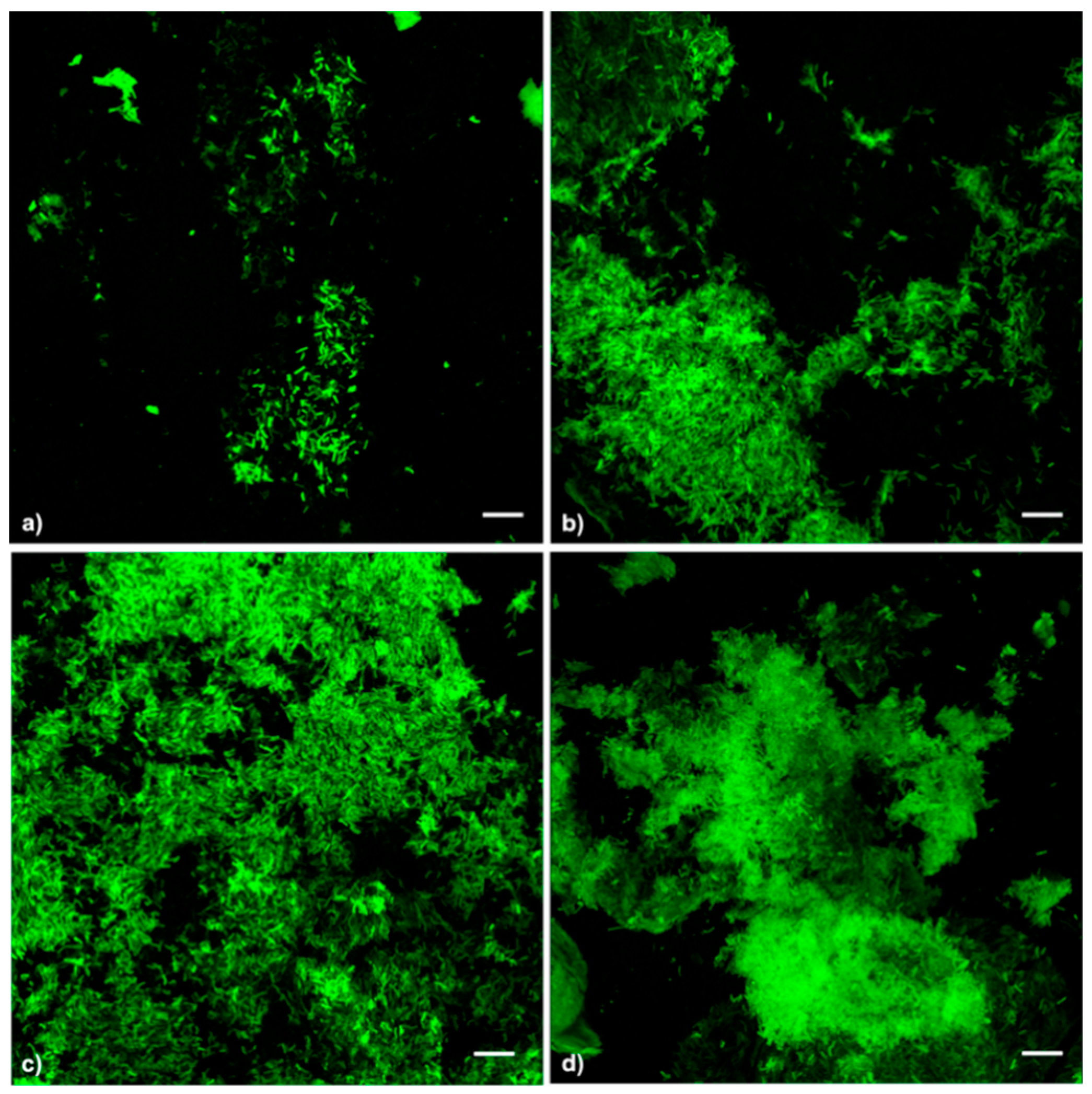 Microorganisms 07 00656 g004