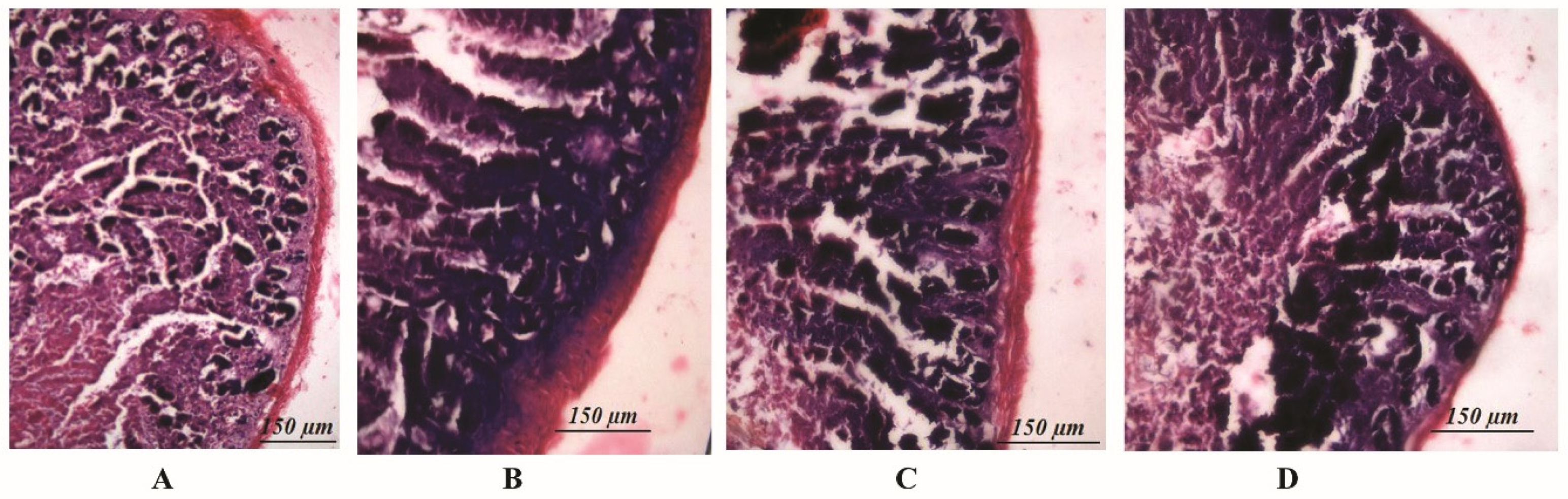 Microorganisms 07 00659 g005 Microorganisms 07 00659 g005