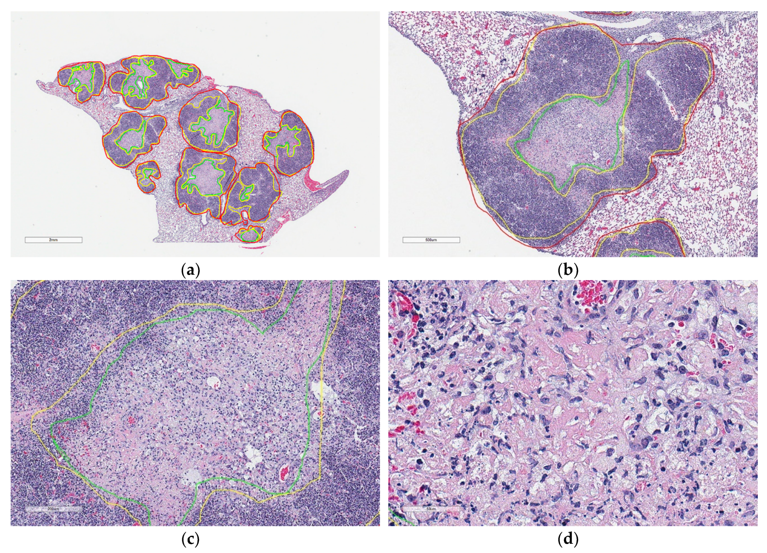 Microorganisms 07 00661 g001 Microorganisms 07 00661 g001