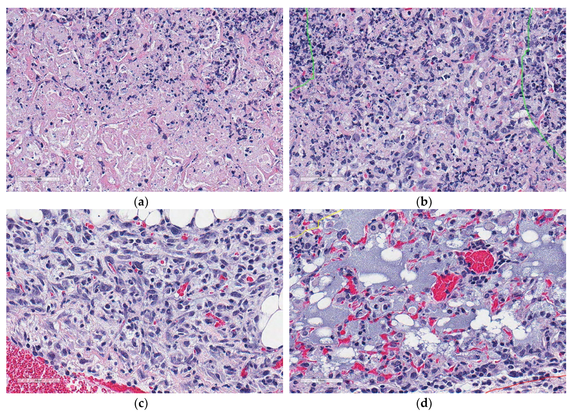Microorganisms 07 00661 g005 Microorganisms 07 00661 g005