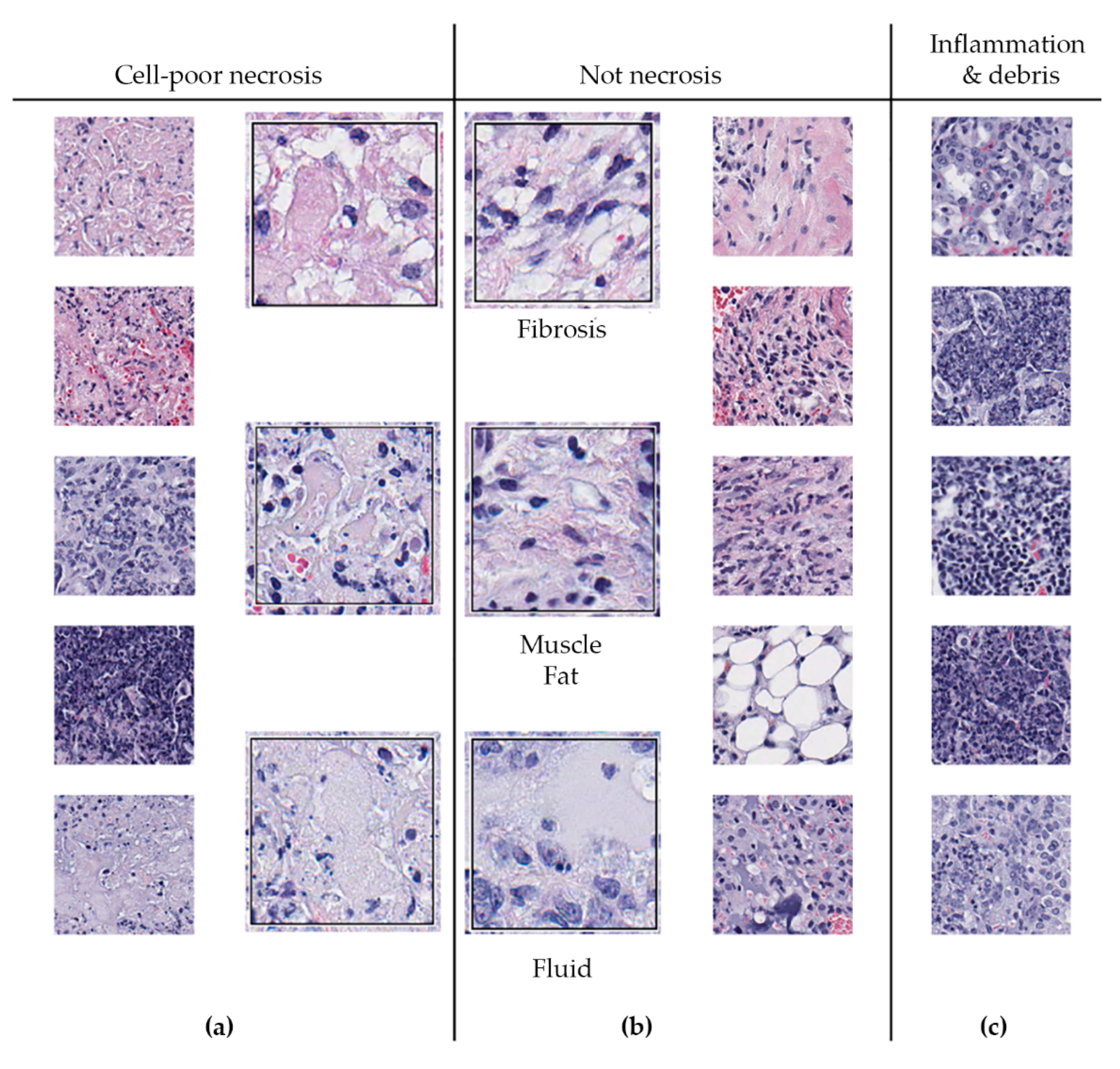 Microorganisms 07 00661 g006 Microorganisms 07 00661 g006