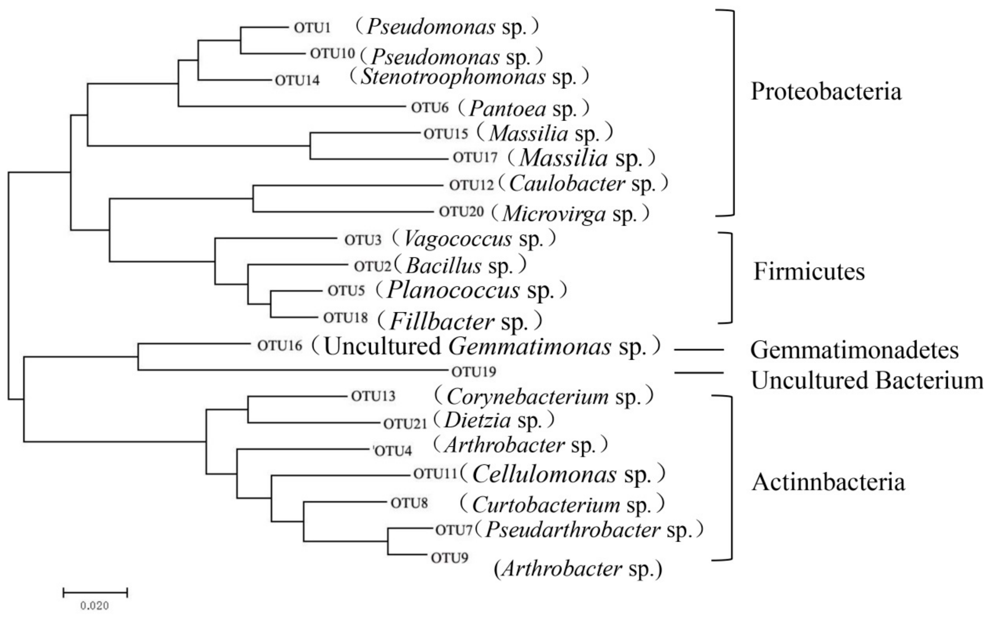 Microorganisms 07 00668 g003