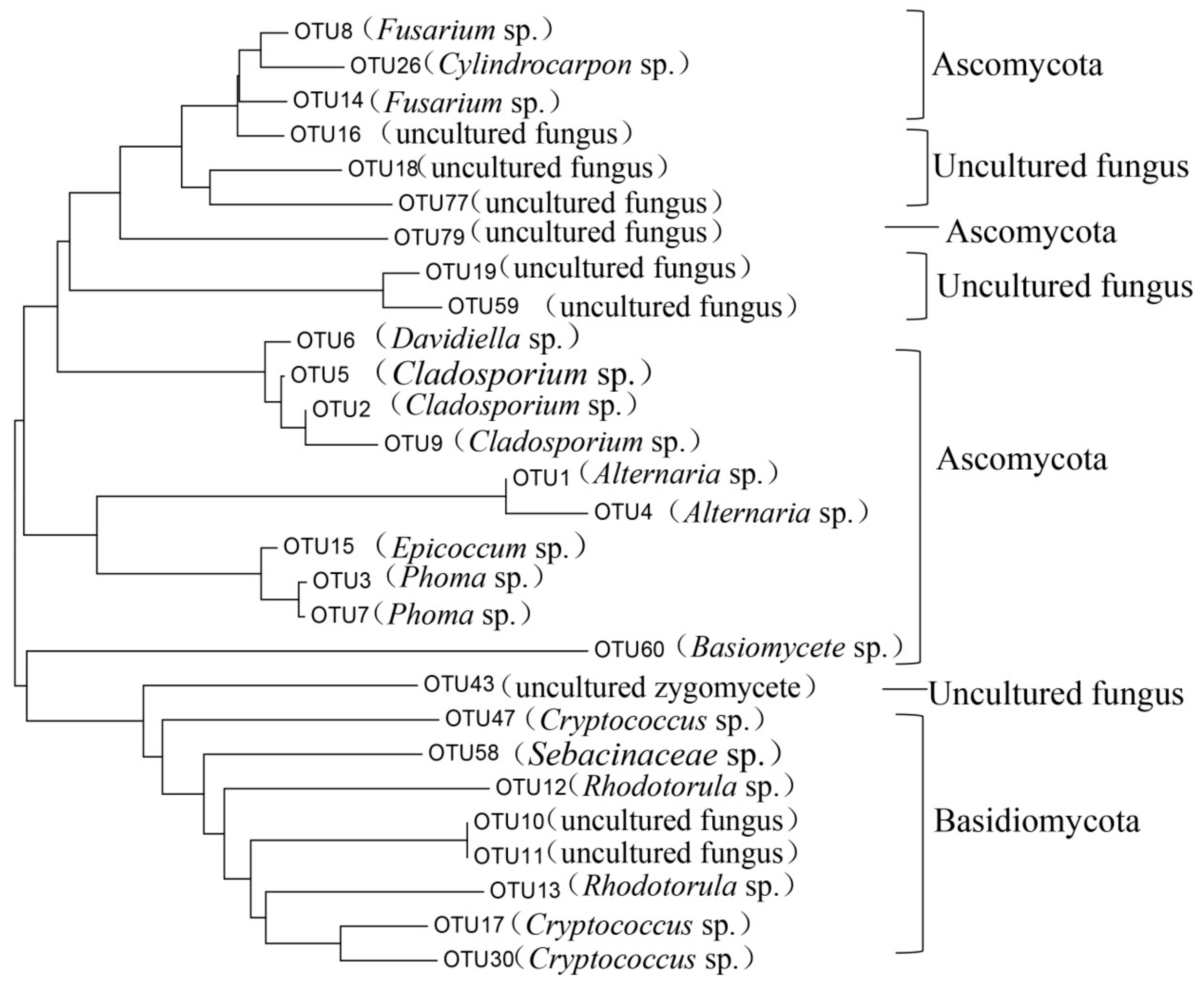 Microorganisms 07 00668 g004