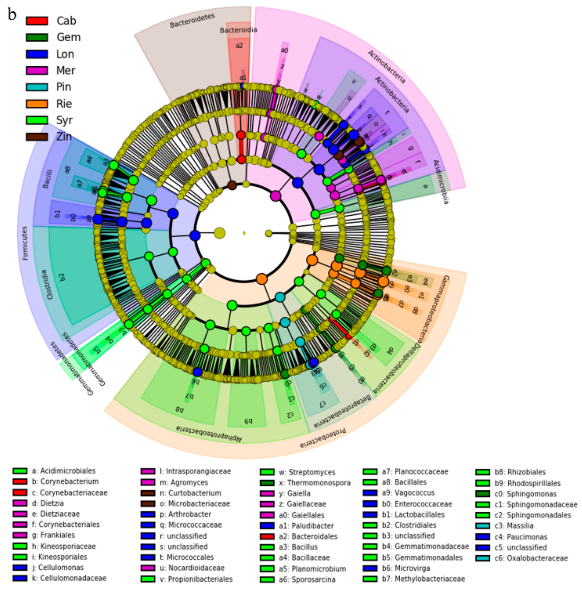 Microorganisms 07 00668 g009b