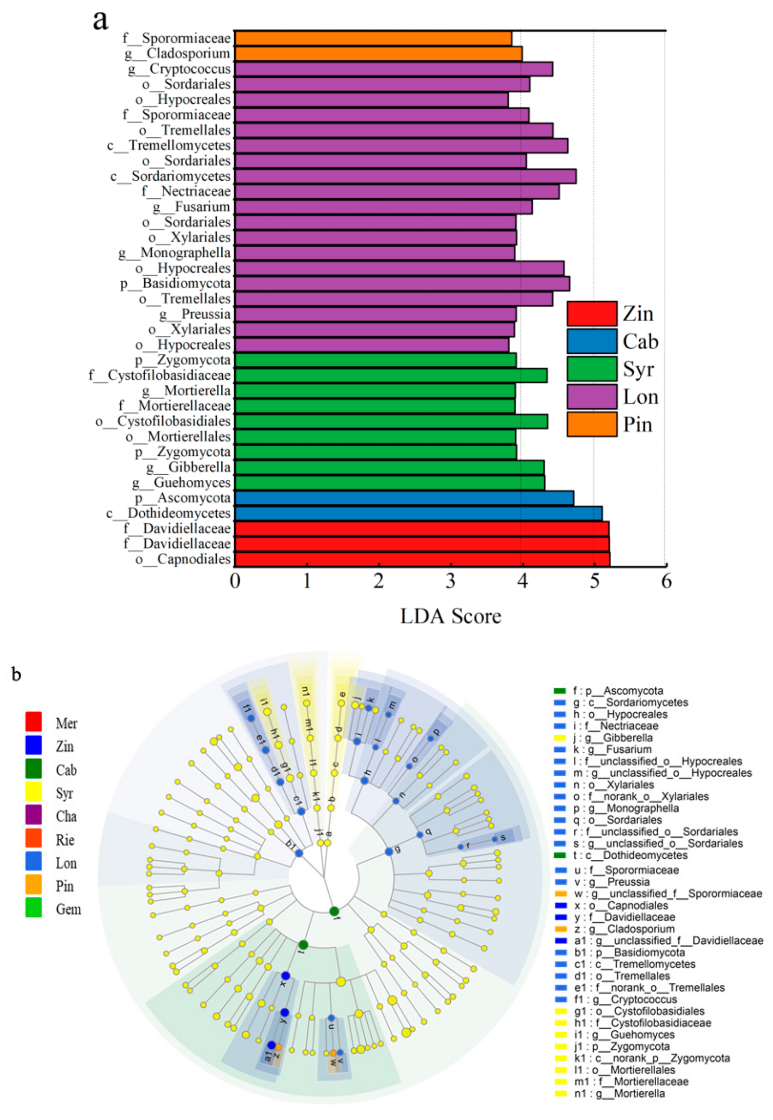 Microorganisms 07 00668 g010