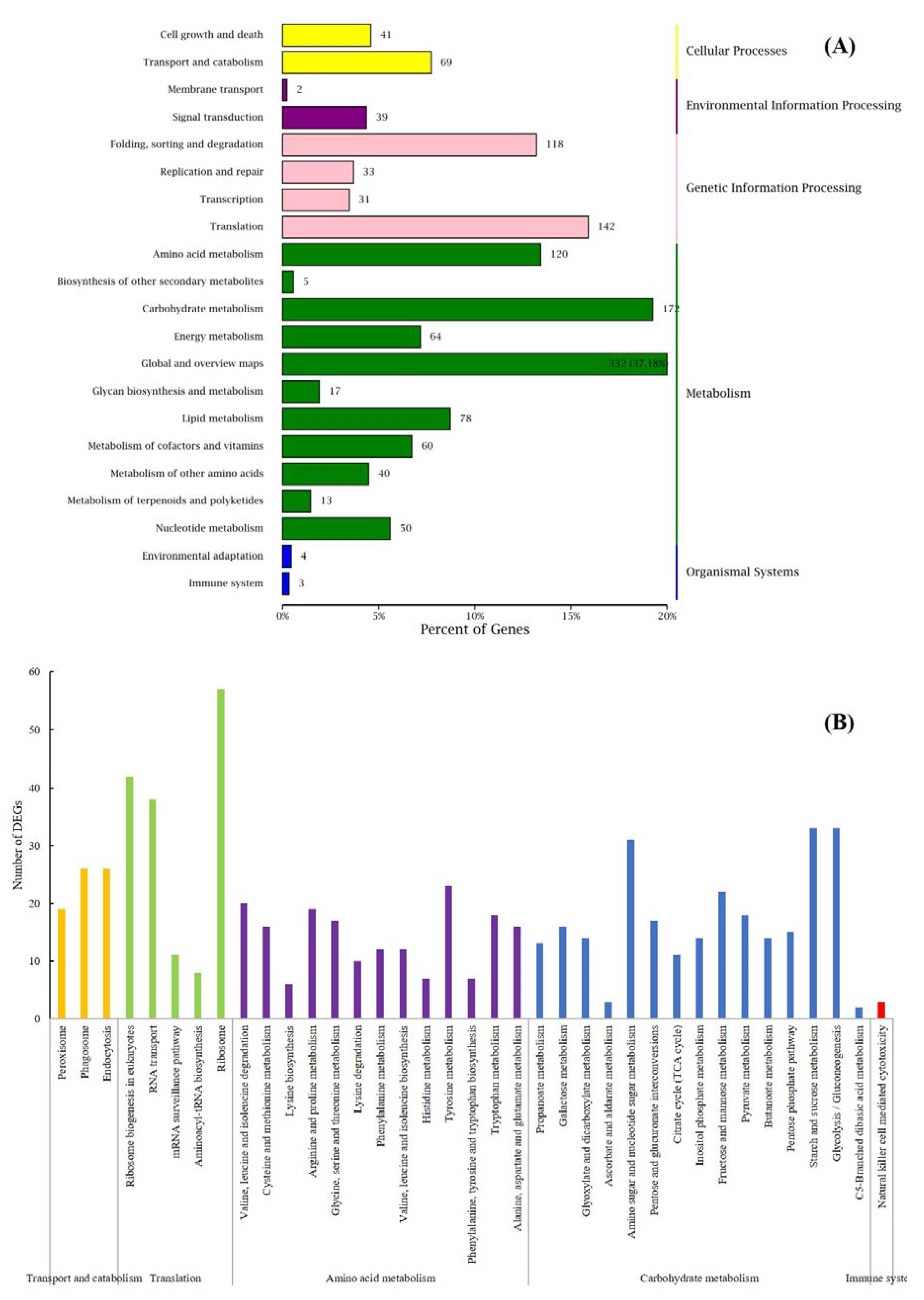 Microorganisms 07 00672 g004 Microorganisms 07 00672 g004