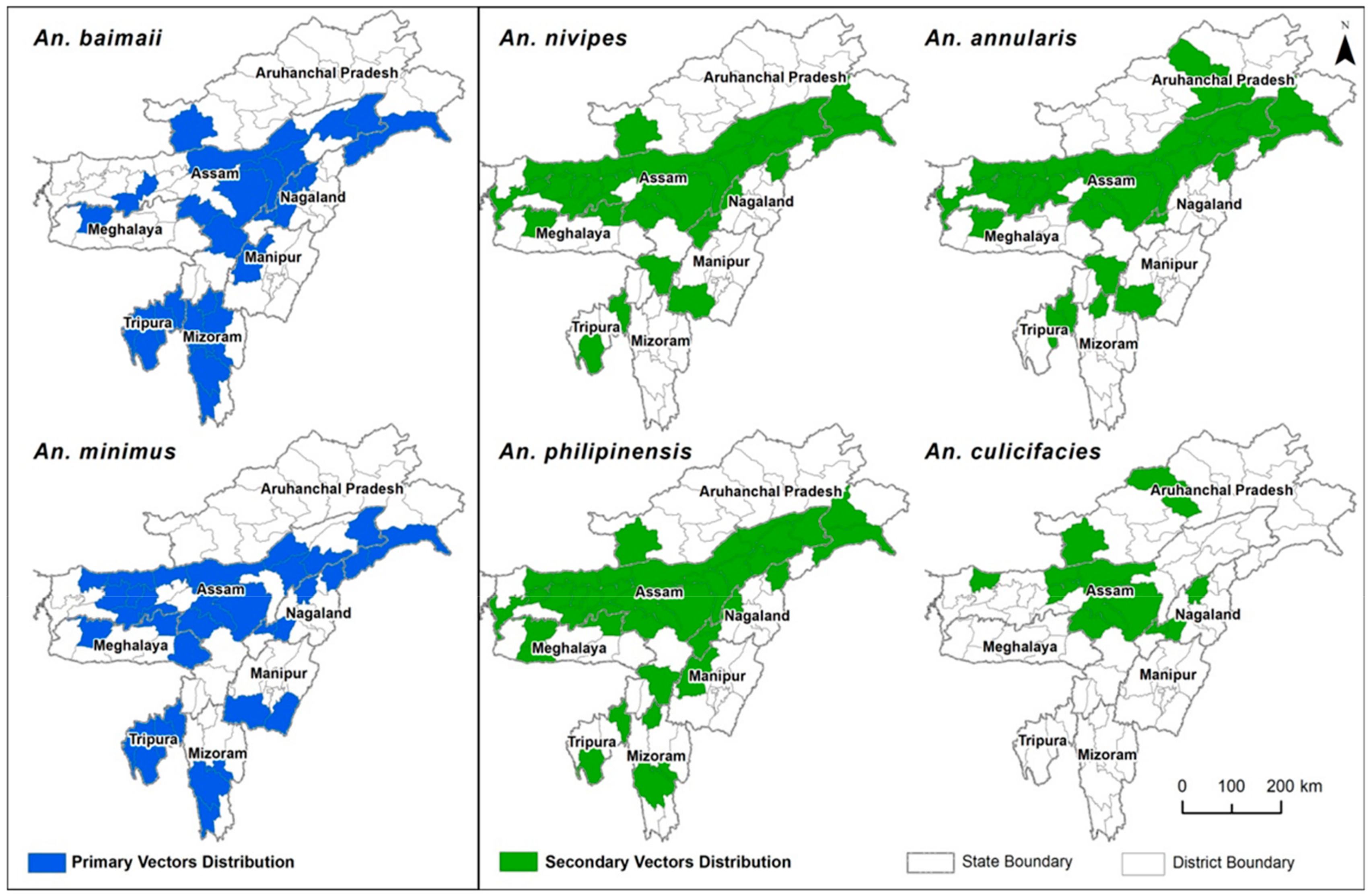 Microorganisms 07 00673 g005 Microorganisms 07 00673 g005