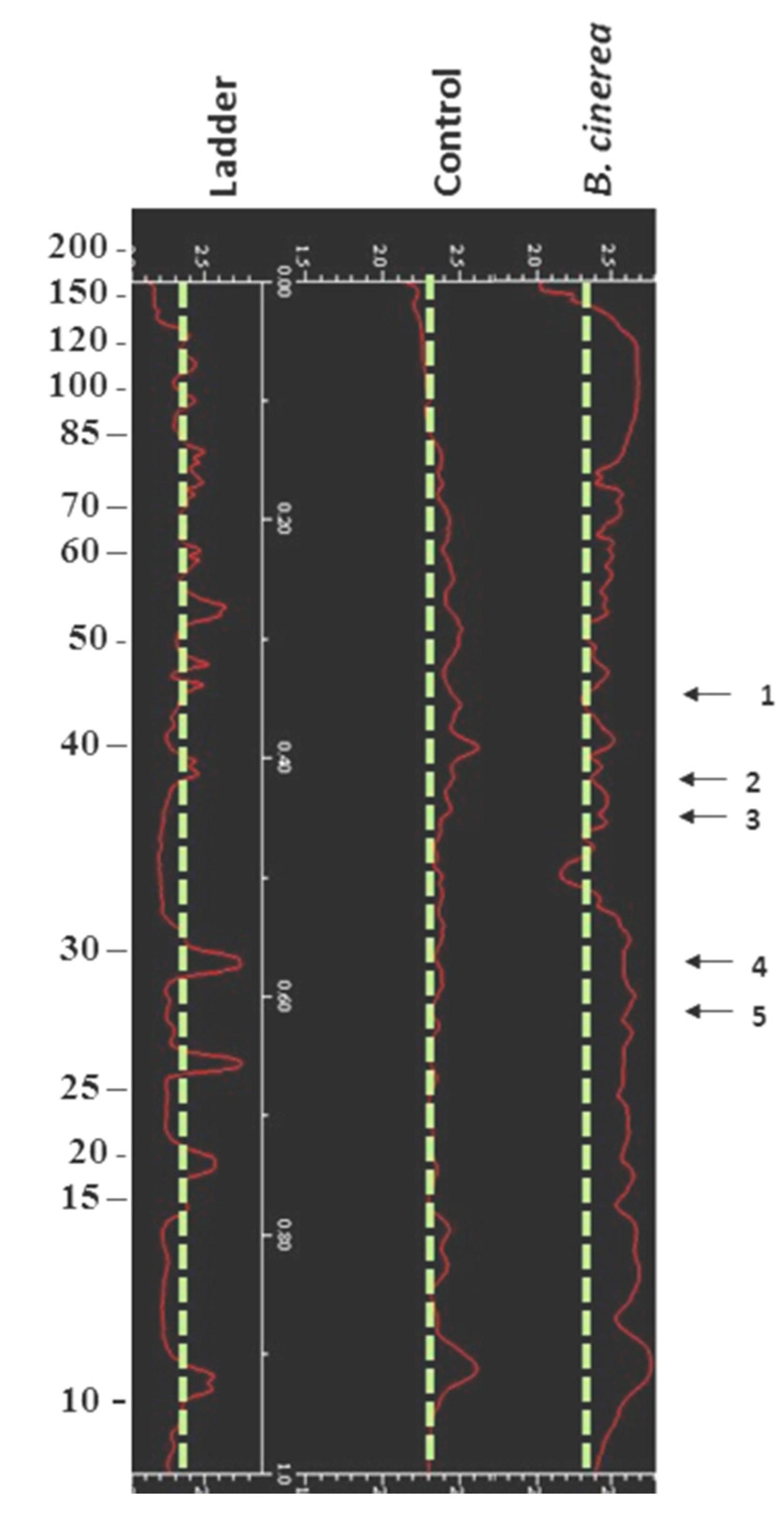 Microorganisms 07 00681 g003 Microorganisms 07 00681 g003