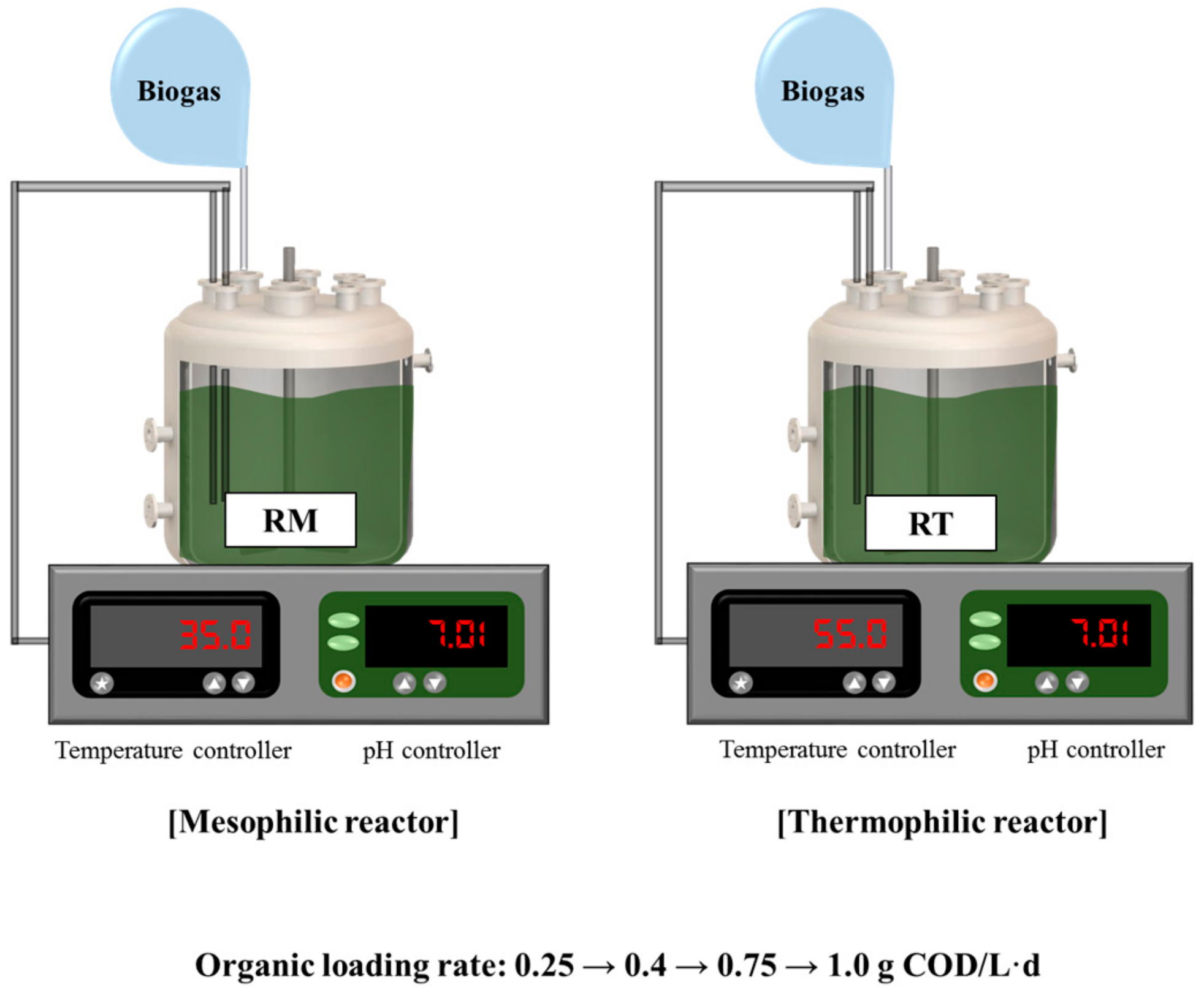 Microorganisms 07 00682 g001