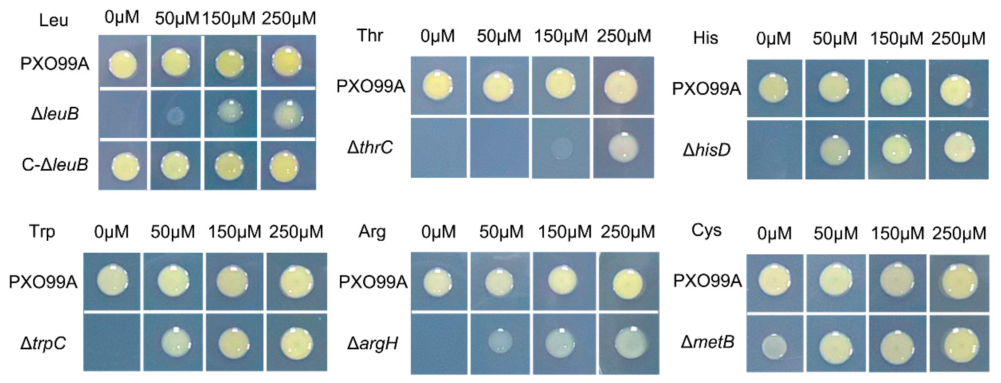 Microorganisms 07 00693 g001 Microorganisms 07 00693 g001