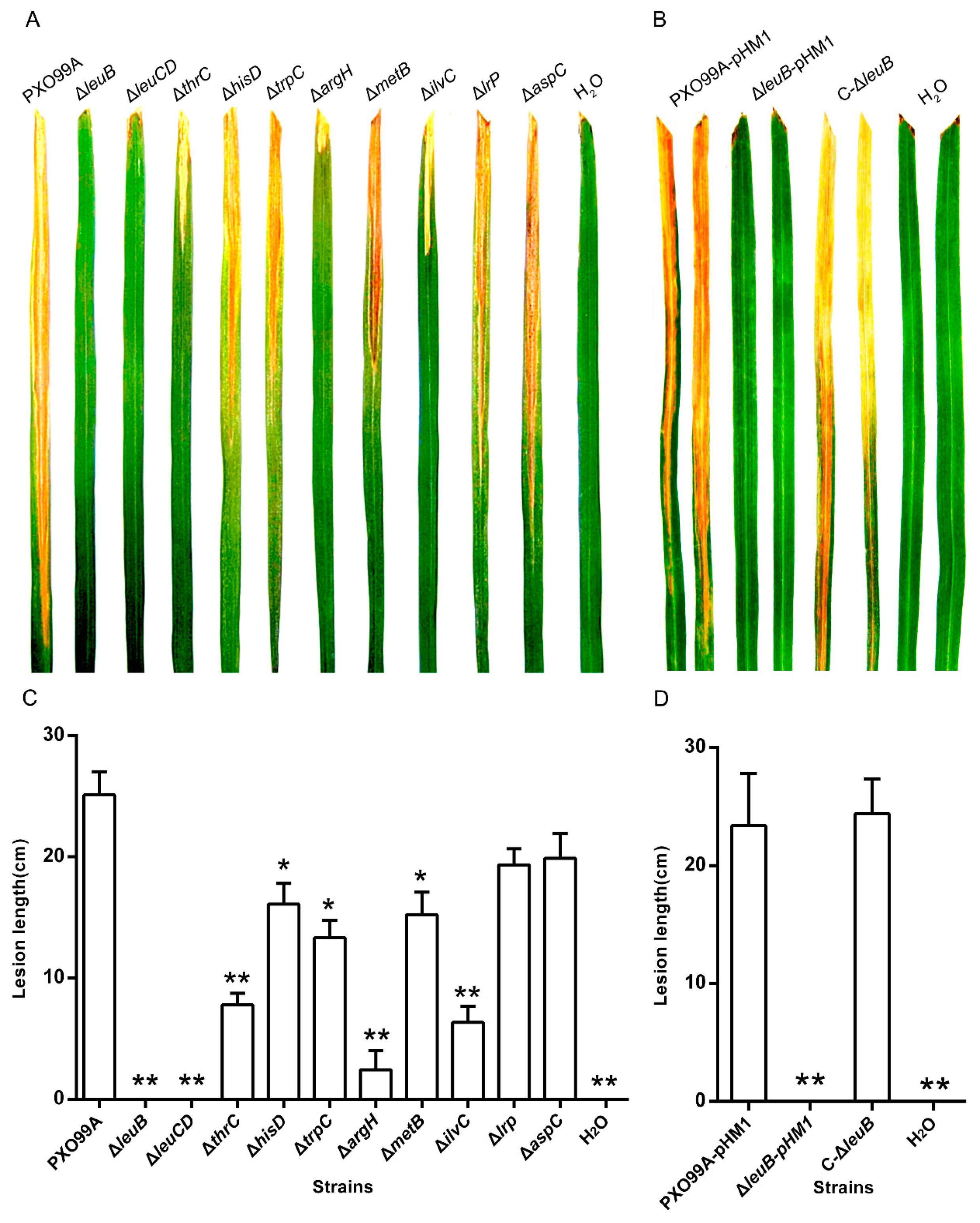 Microorganisms 07 00693 g002 Microorganisms 07 00693 g002