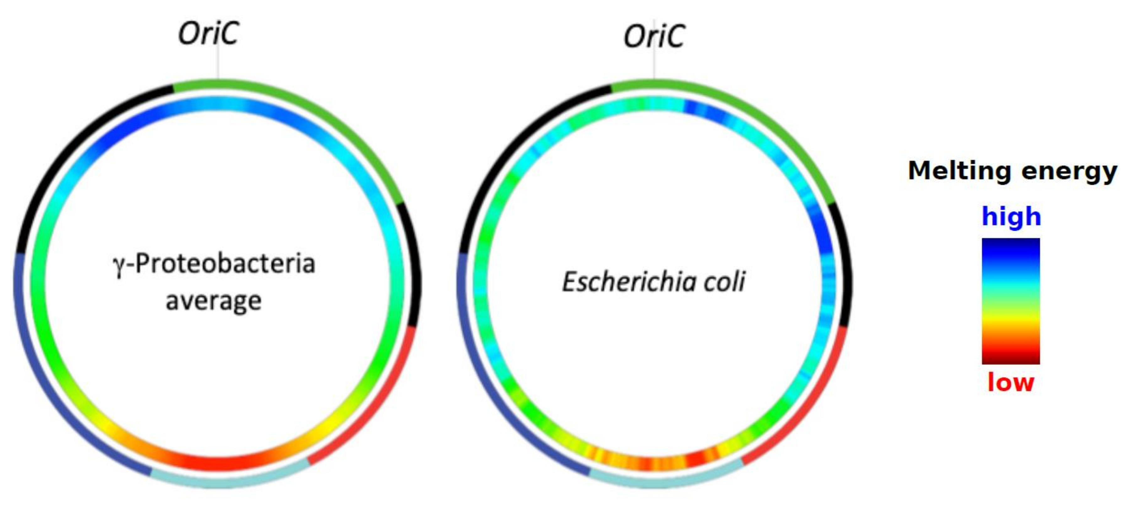 Microorganisms 07 00694 g001 Microorganisms 07 00694 g001