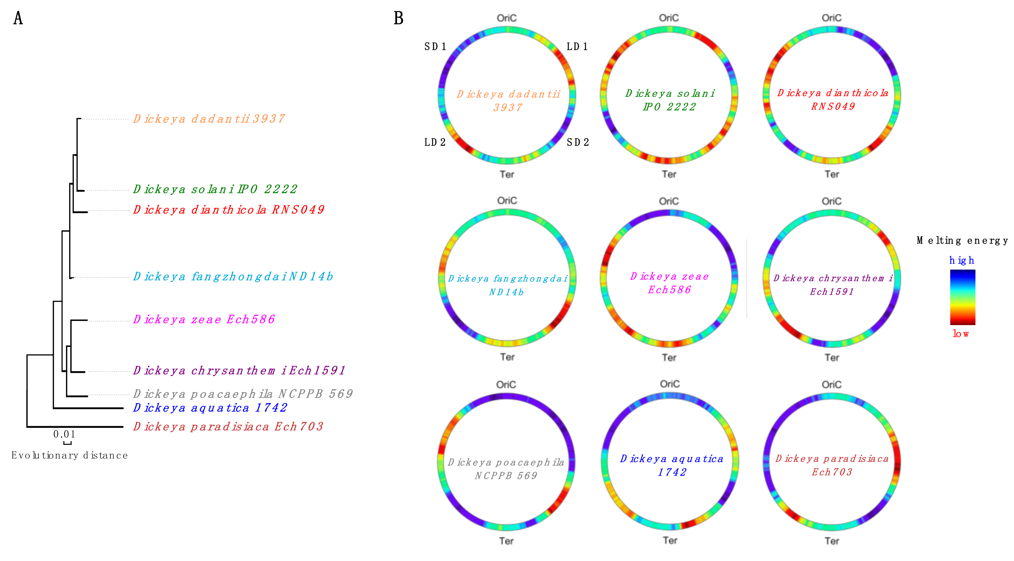 Microorganisms 07 00694 g002 Microorganisms 07 00694 g002