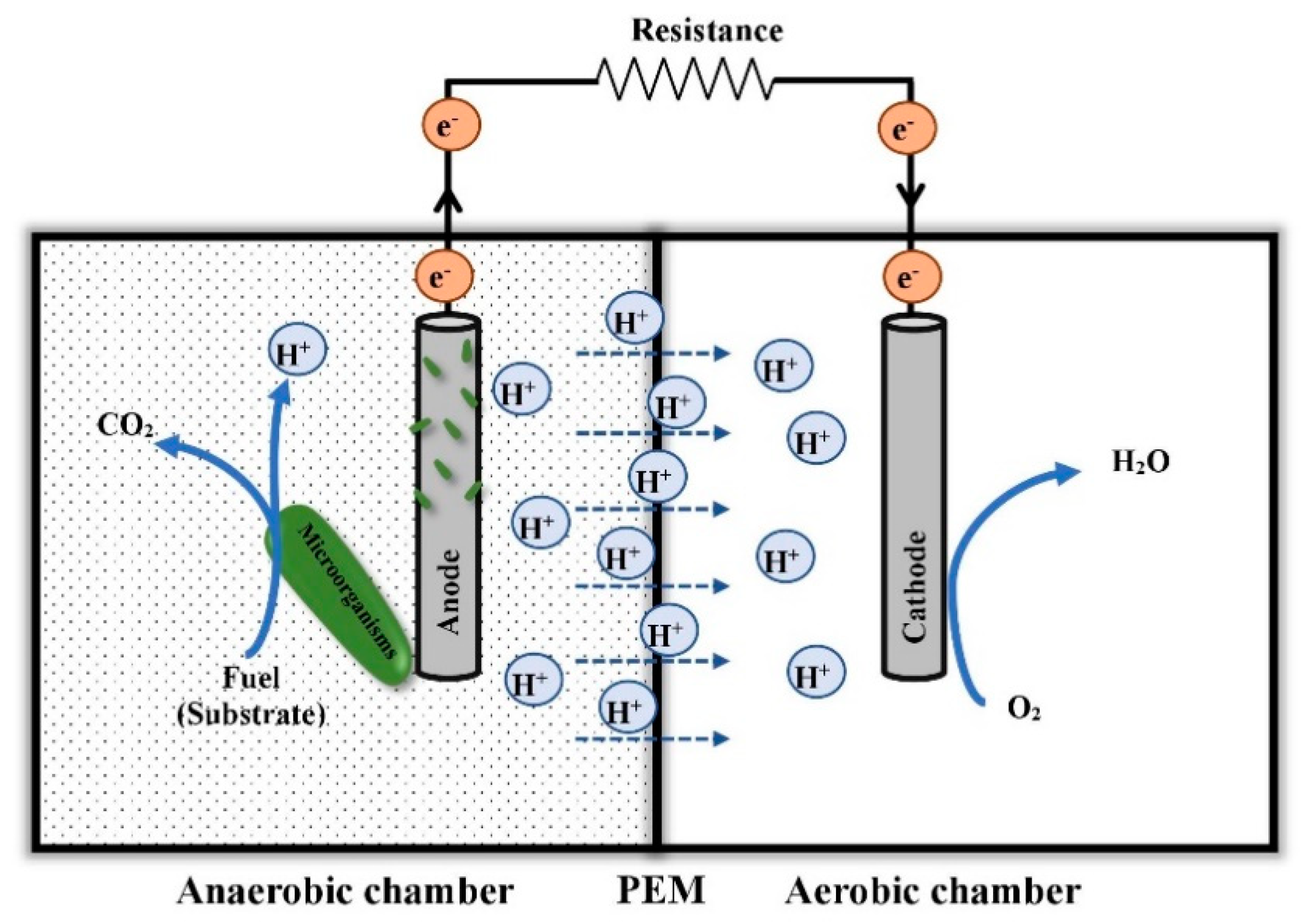 Free FullText The Potential of Microbial Fuel Cells