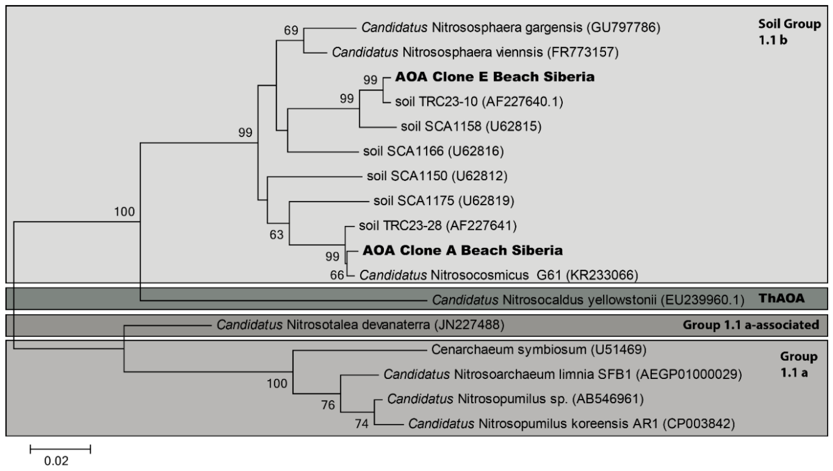 Microorganisms 07 00699 g006 Microorganisms 07 00699 g006