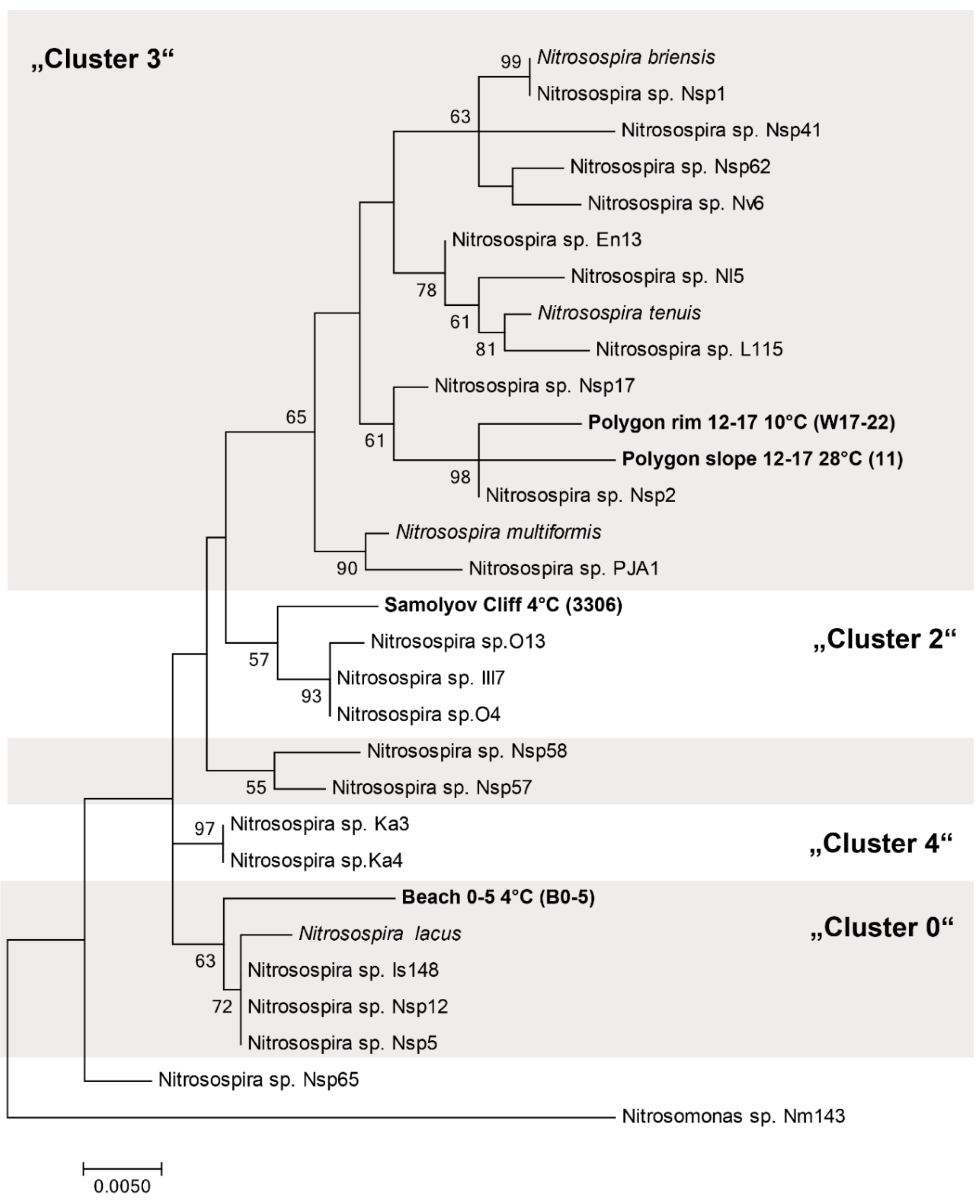Microorganisms 07 00699 g008 Microorganisms 07 00699 g008