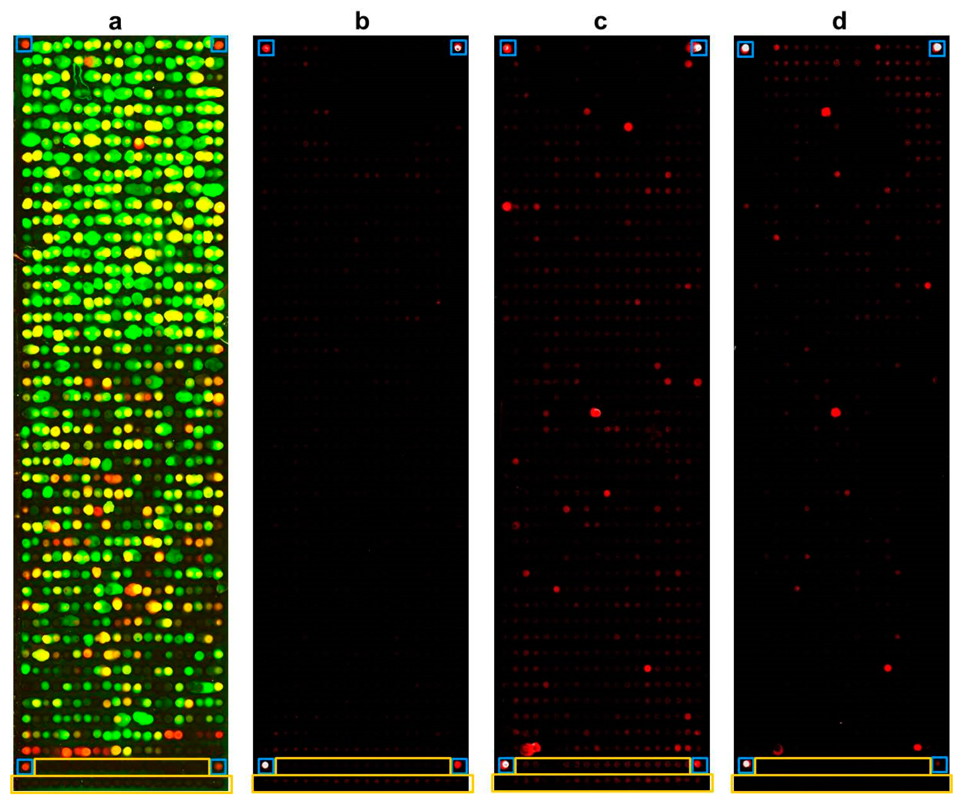 Microorganisms 07 00703 g001 Microorganisms 07 00703 g001