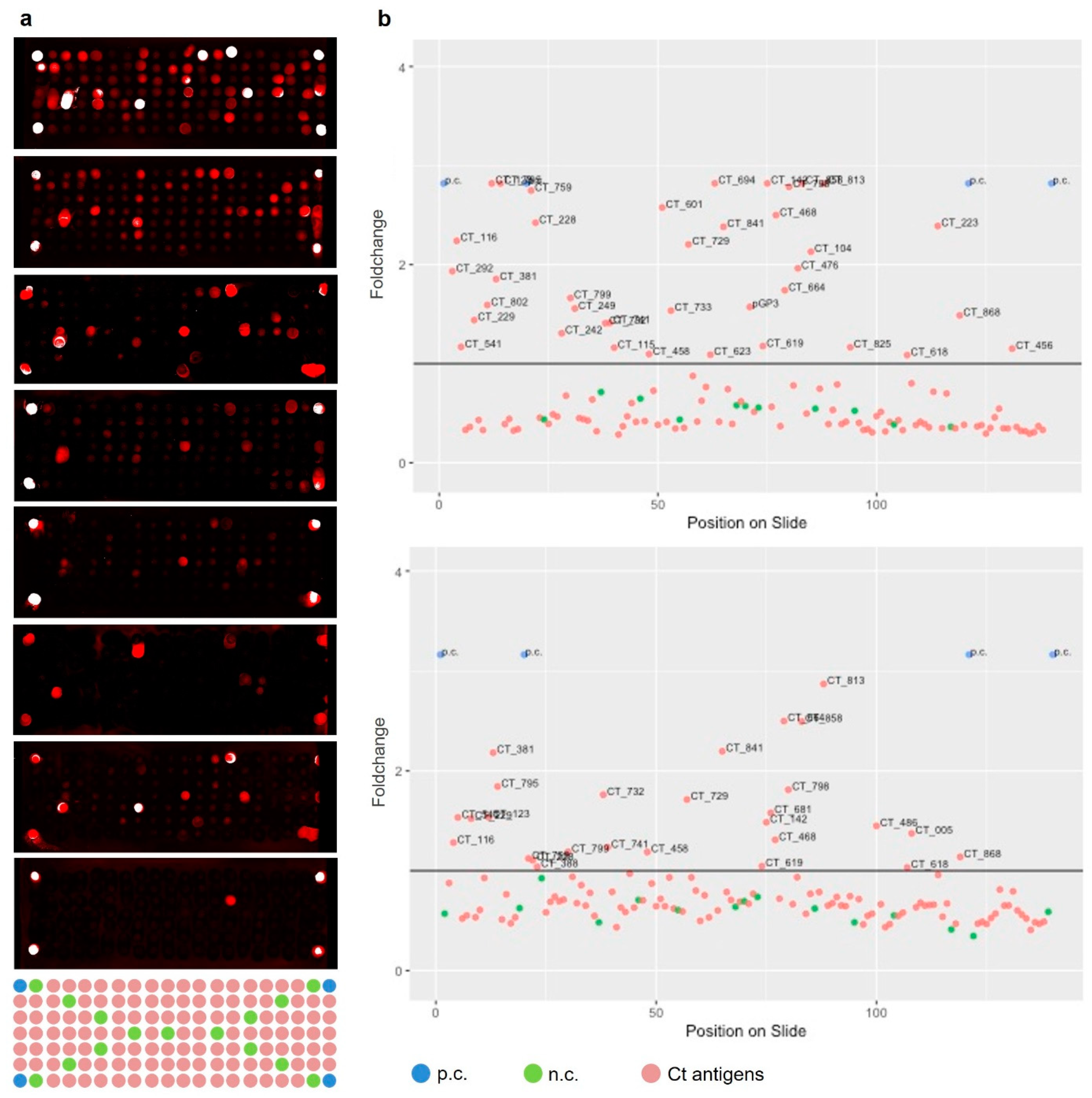 Microorganisms 07 00703 g004 Microorganisms 07 00703 g004
