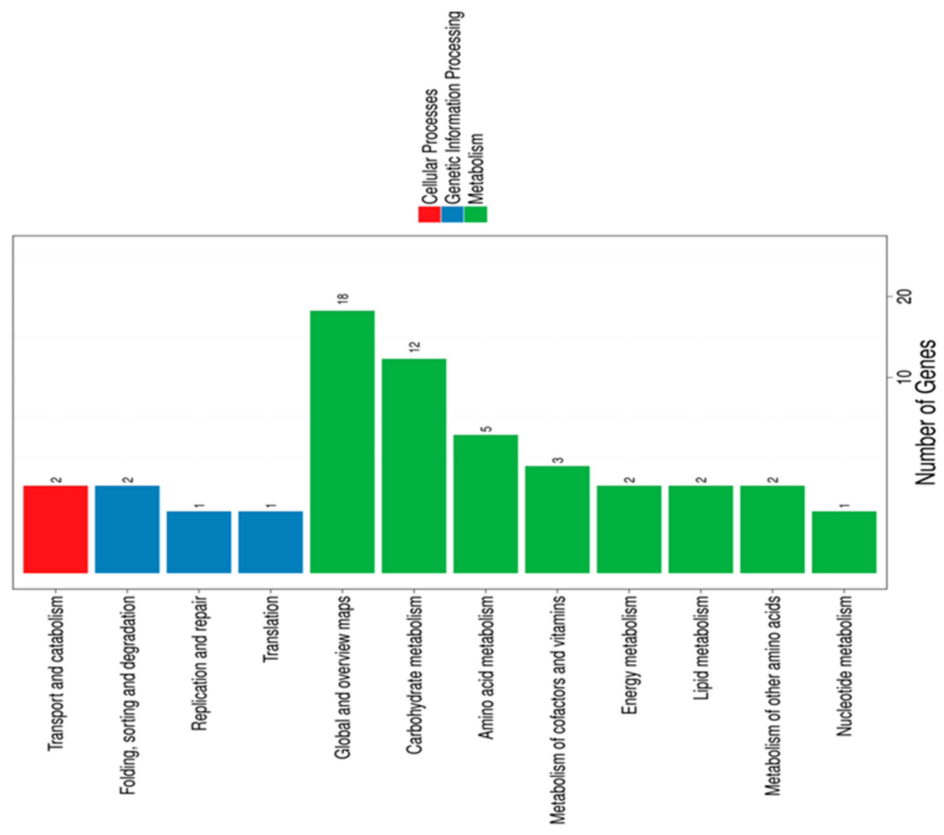 Microorganisms 07 00710 g001 Microorganisms 07 00710 g001