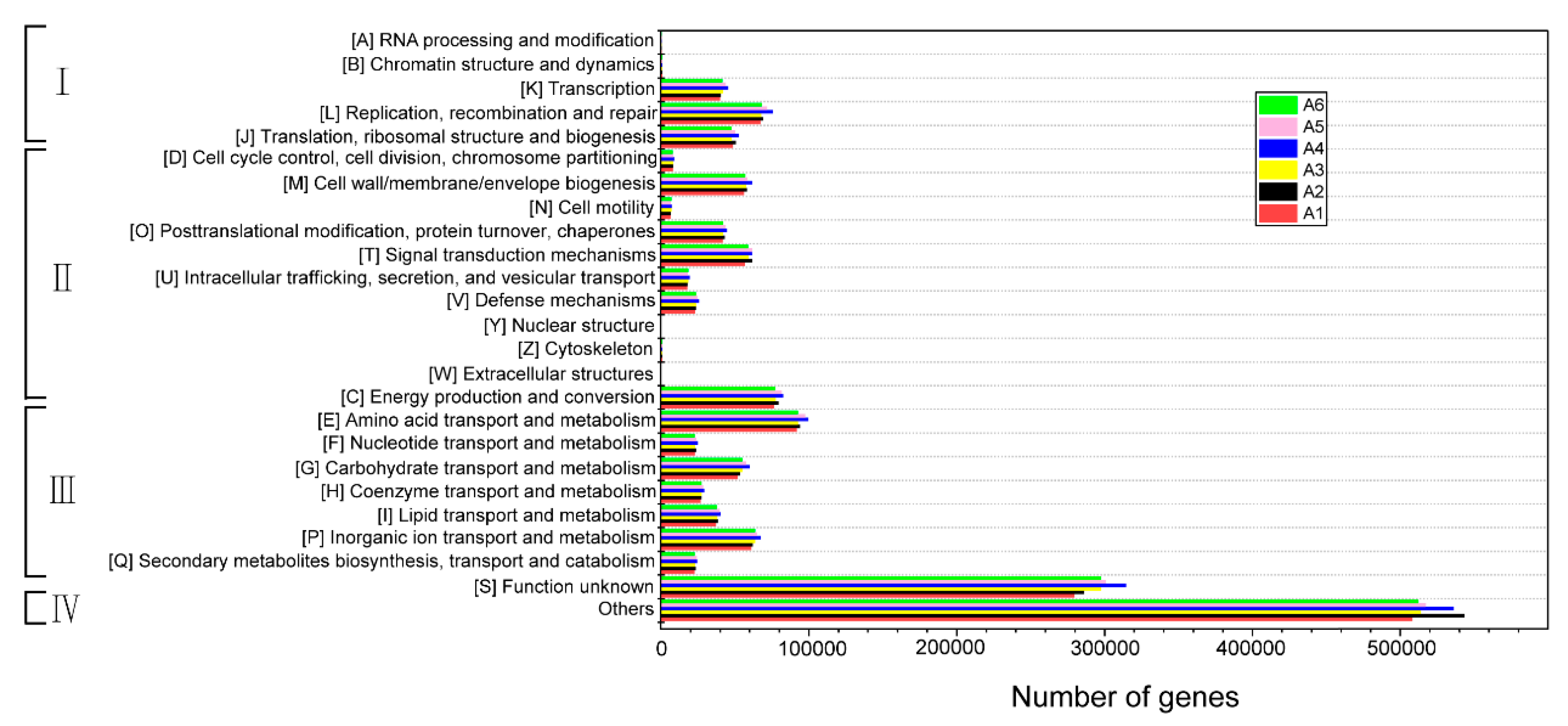 Microorganisms 07 00713 g005