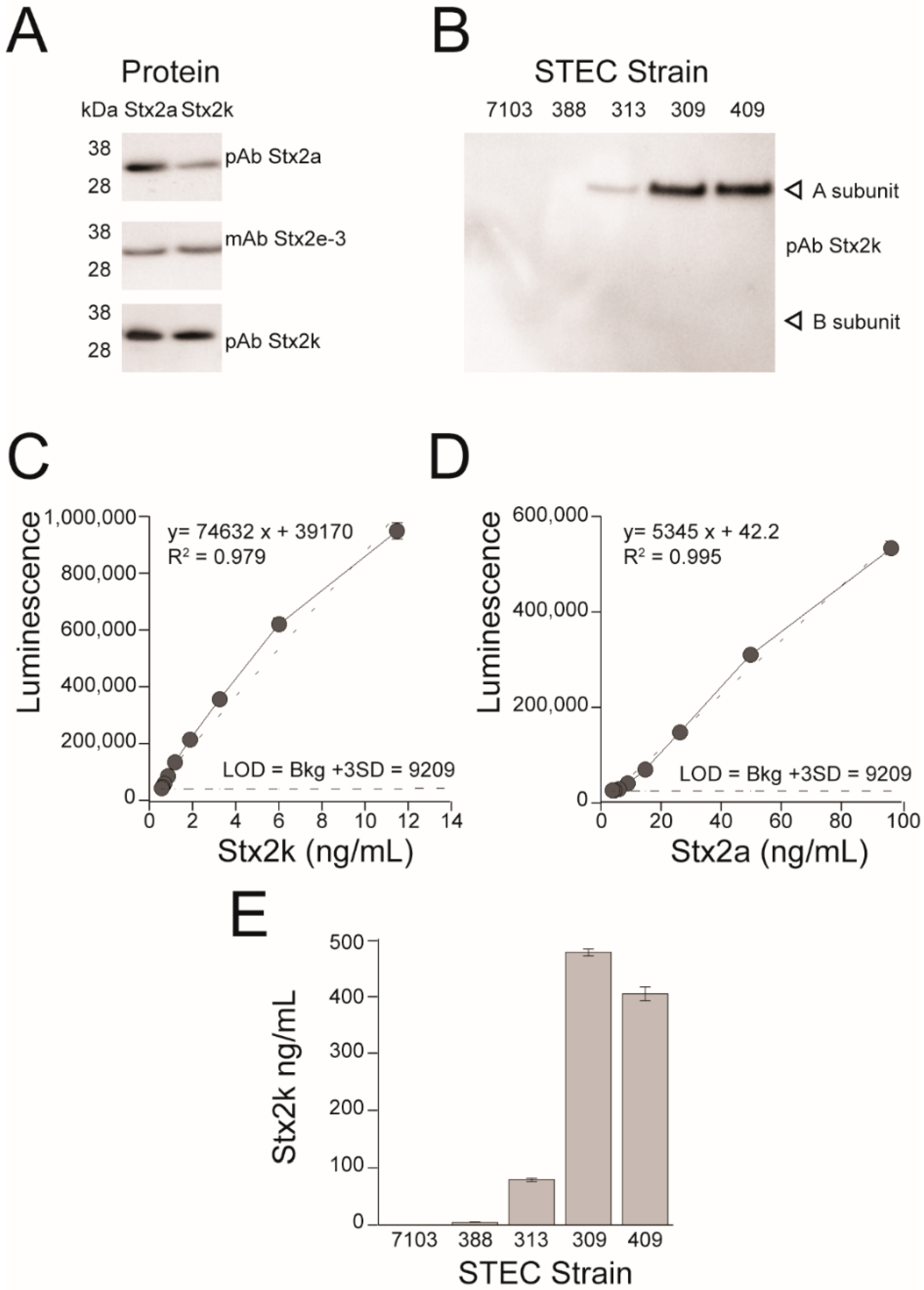 Microorganisms 08 00004 g004 Microorganisms 08 00004 g004