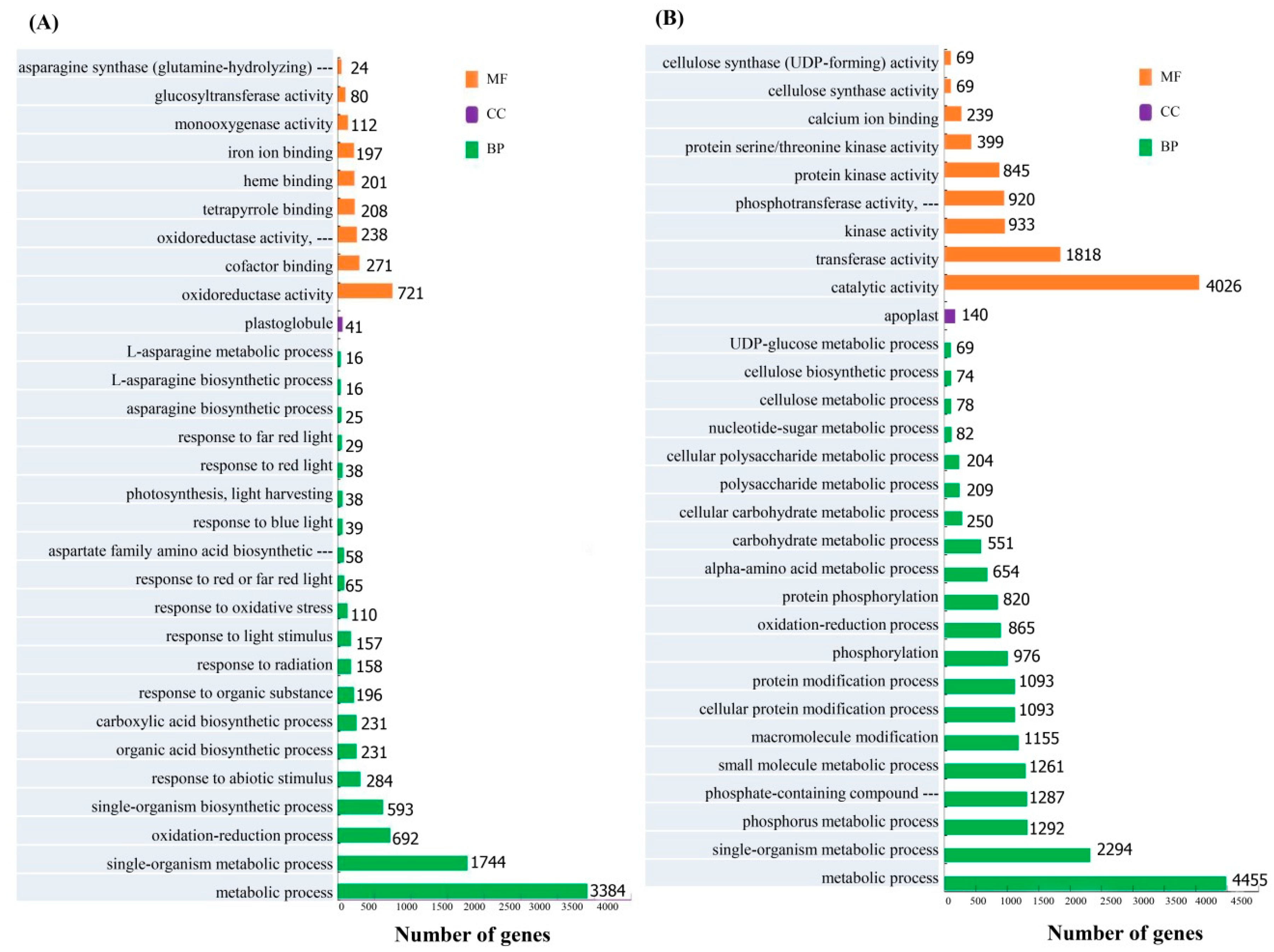 Microorganisms 08 00010 g002