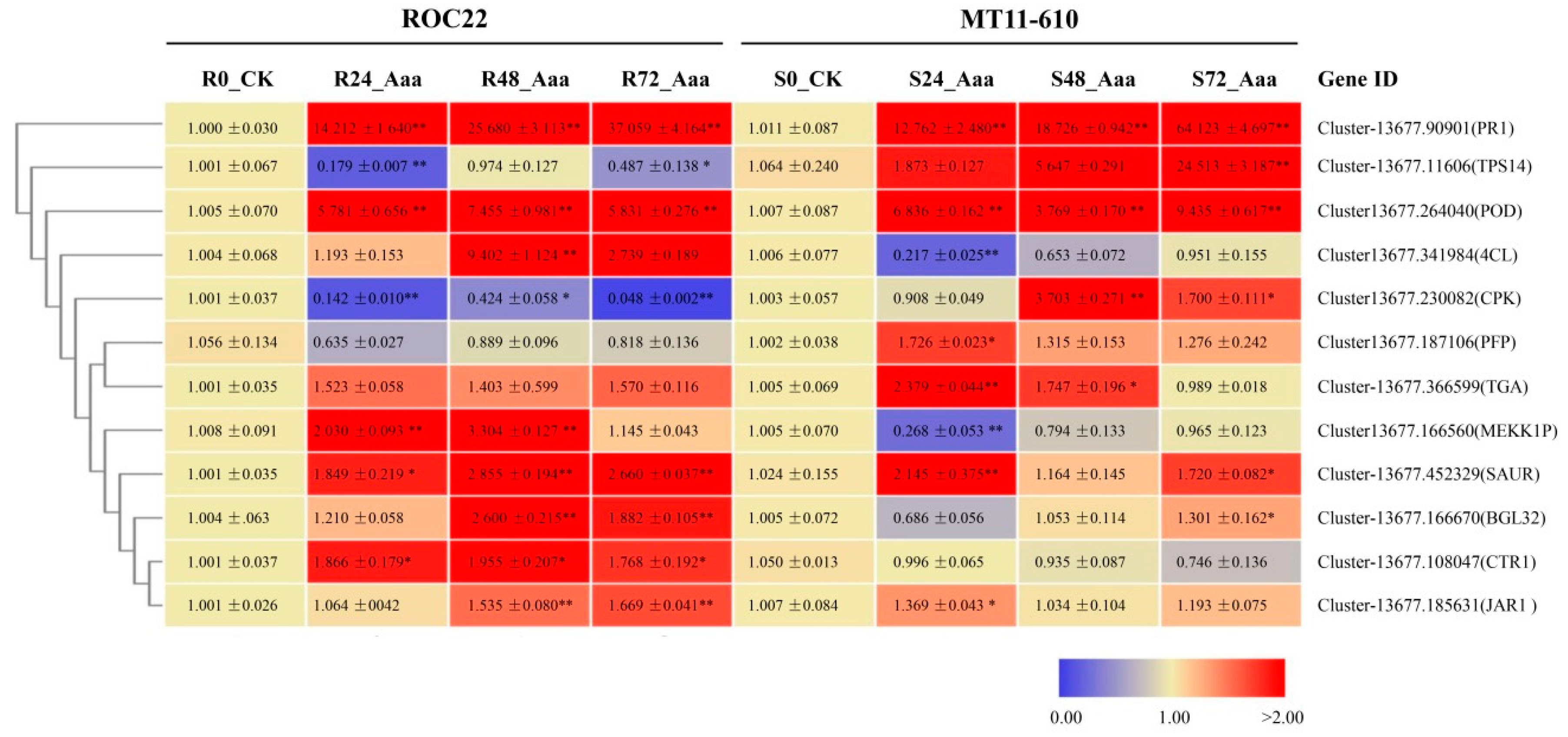 Microorganisms 08 00010 g003