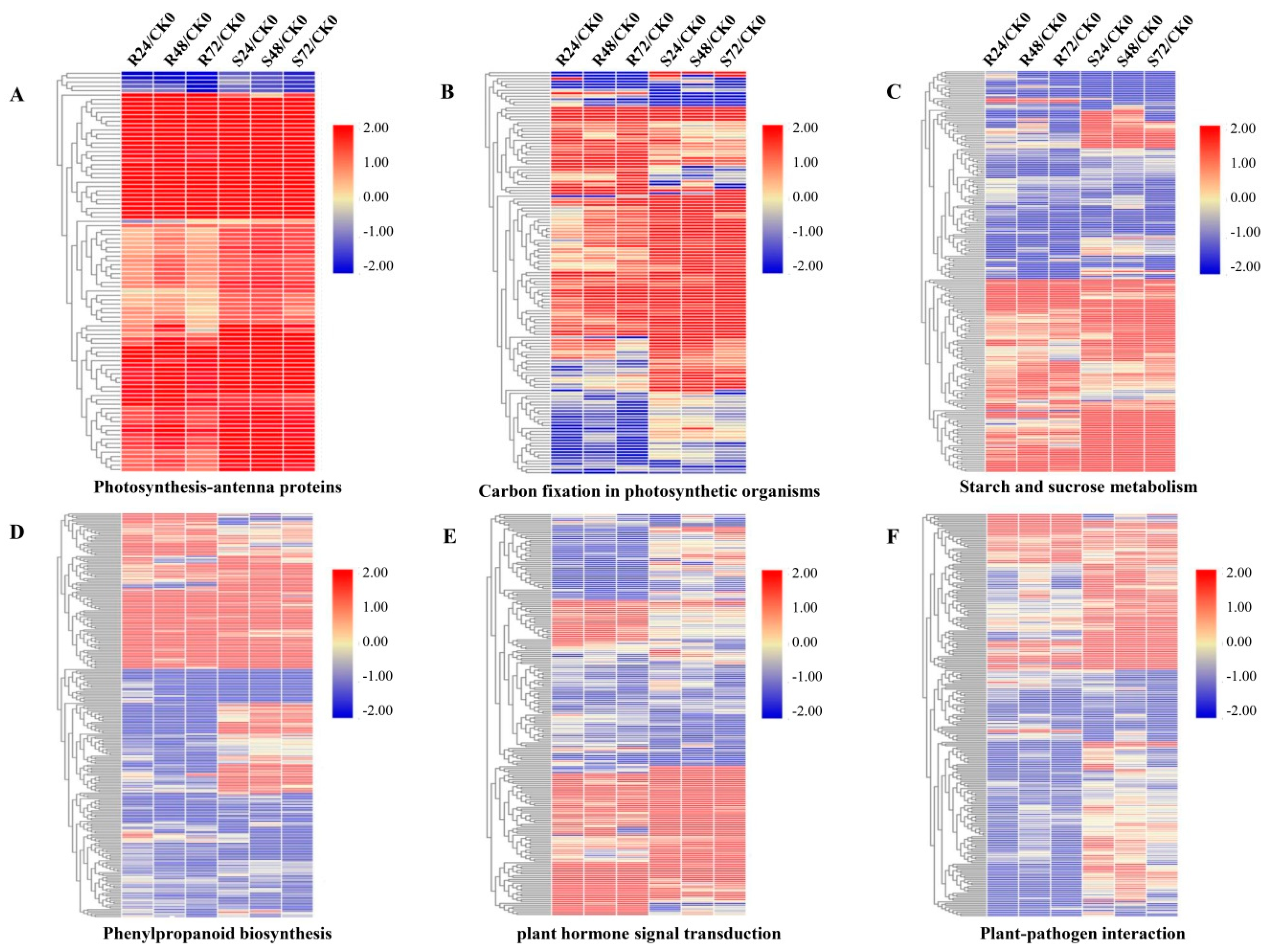 Microorganisms 08 00010 g004
