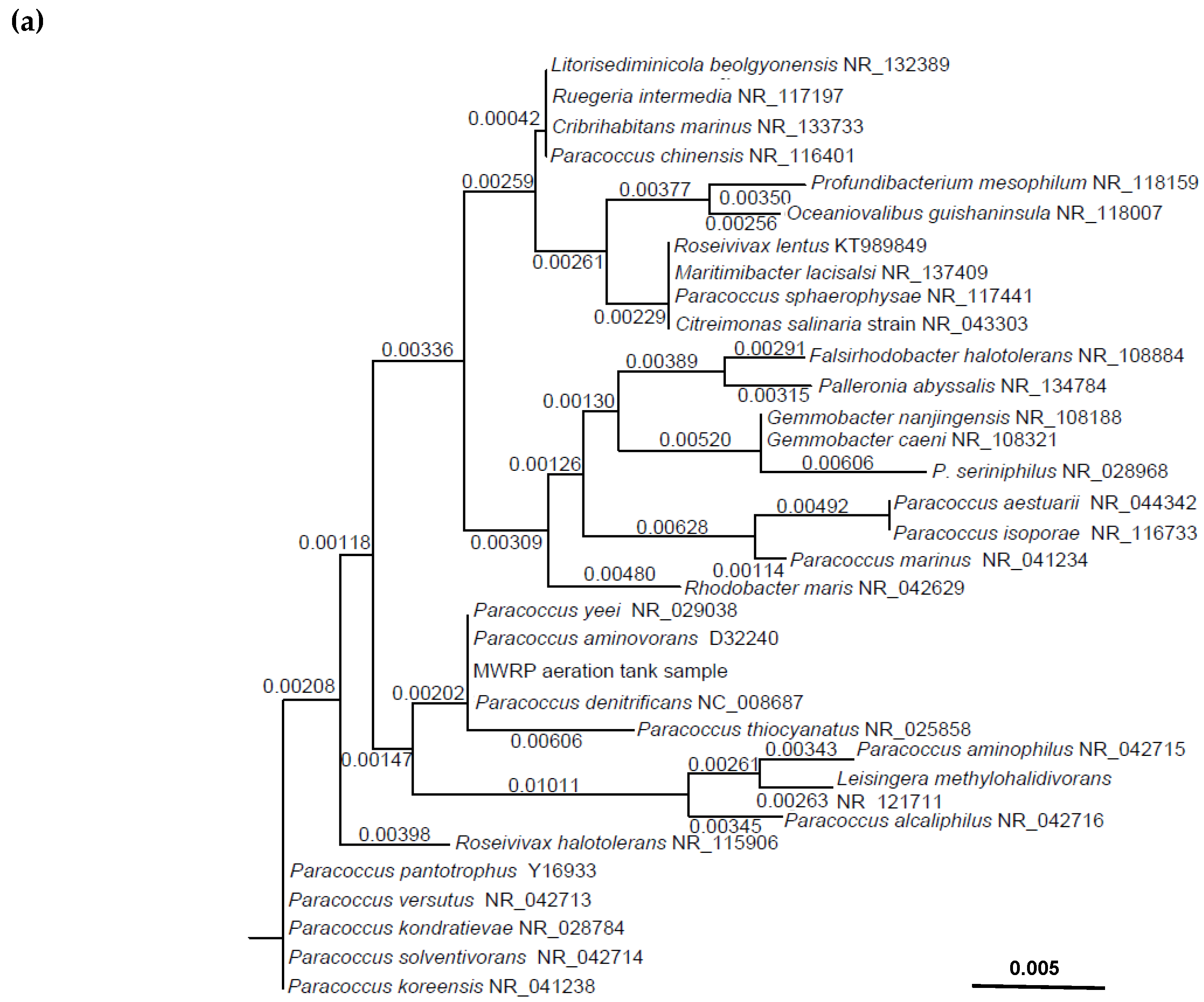 Microorganisms 08 00011 g001a Microorganisms 08 00011 g001a