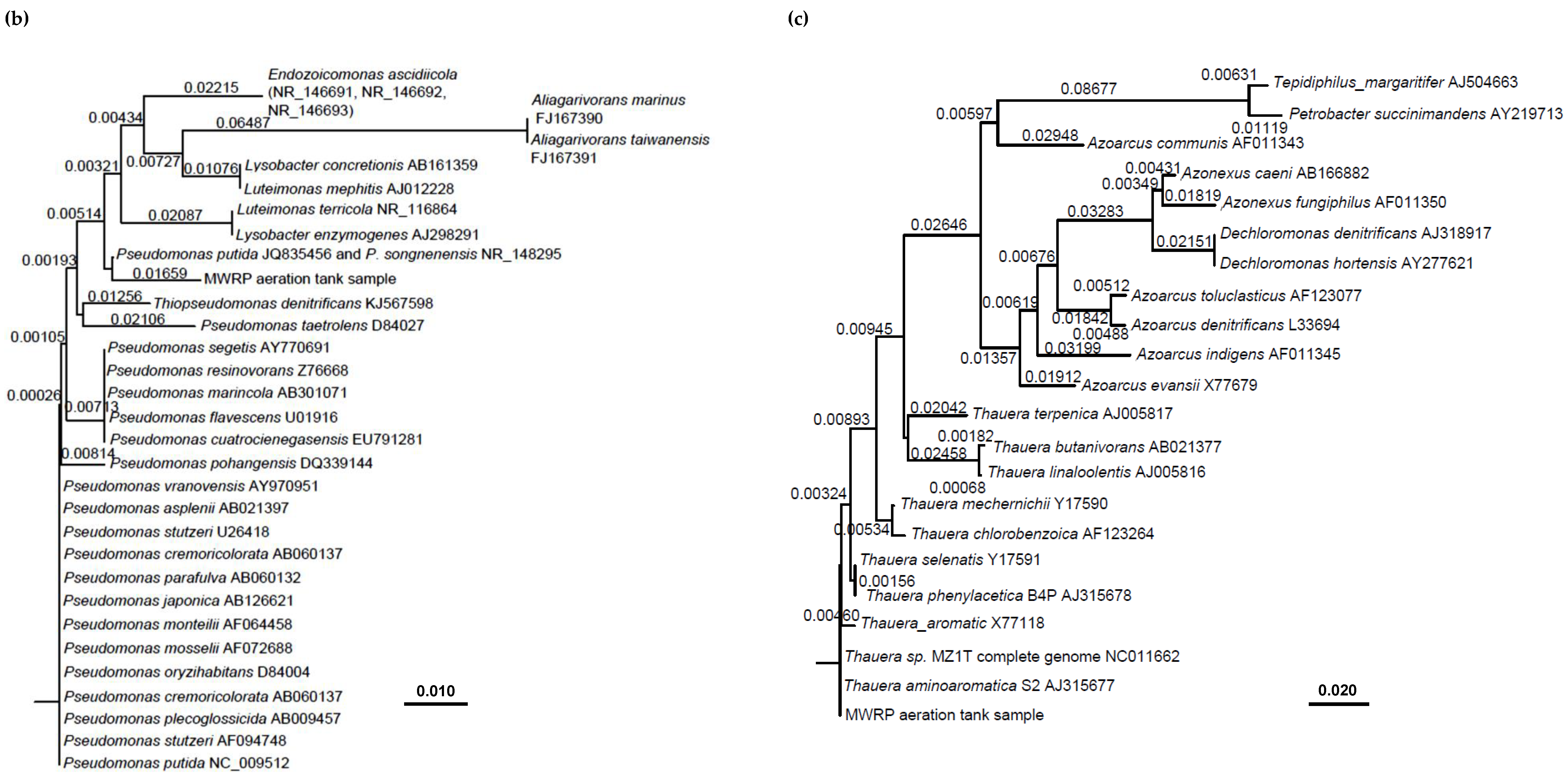 Microorganisms 08 00011 g001b Microorganisms 08 00011 g001b