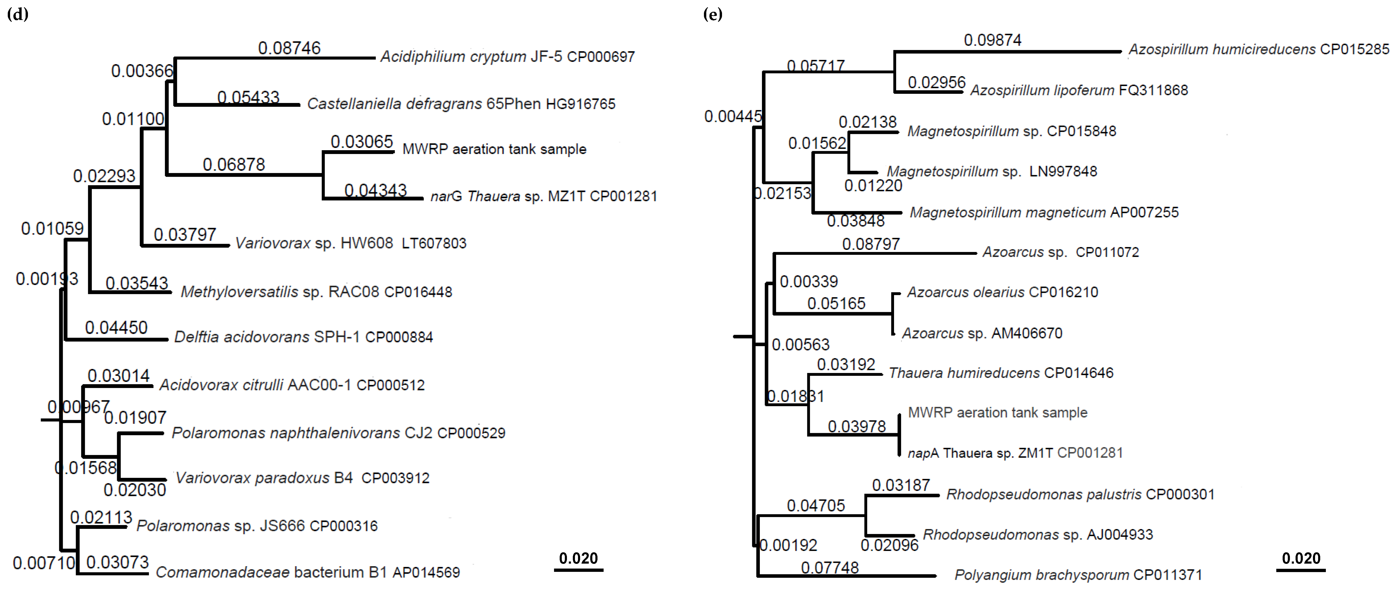 Microorganisms 08 00011 g001c Microorganisms 08 00011 g001c