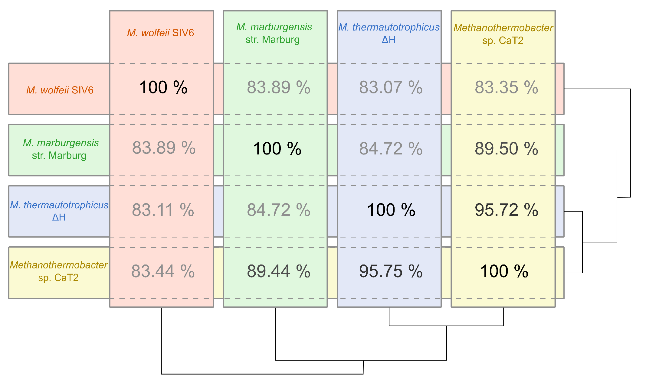 Microorganisms 08 00013 g003