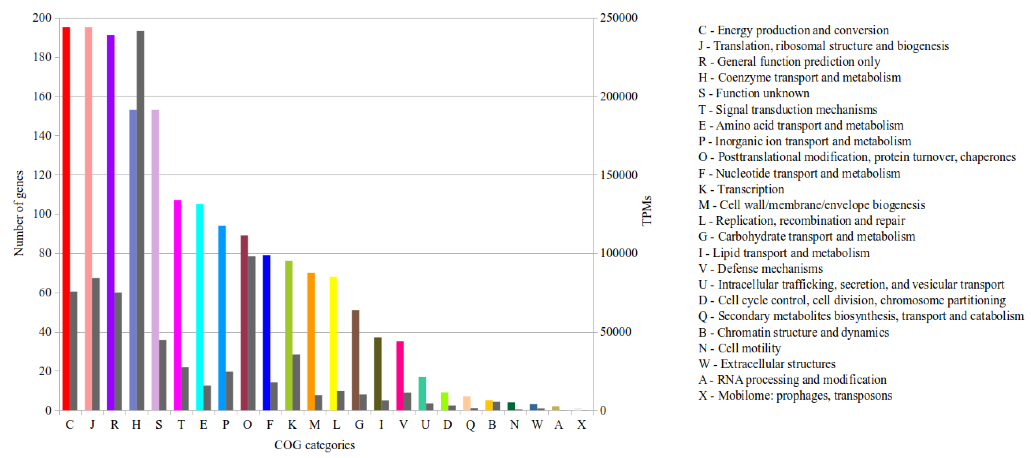 Microorganisms 08 00013 g004