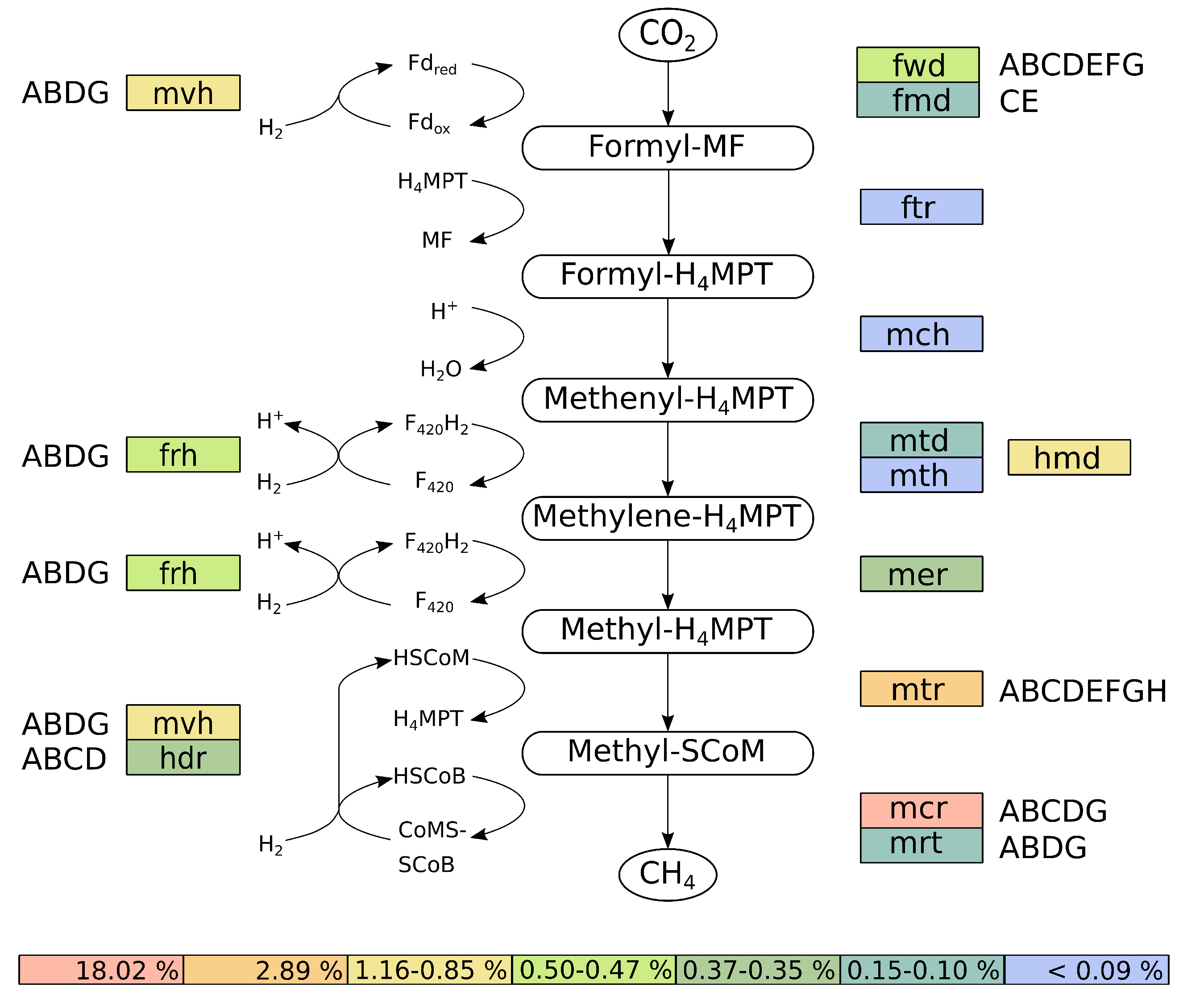 Microorganisms 08 00013 g006